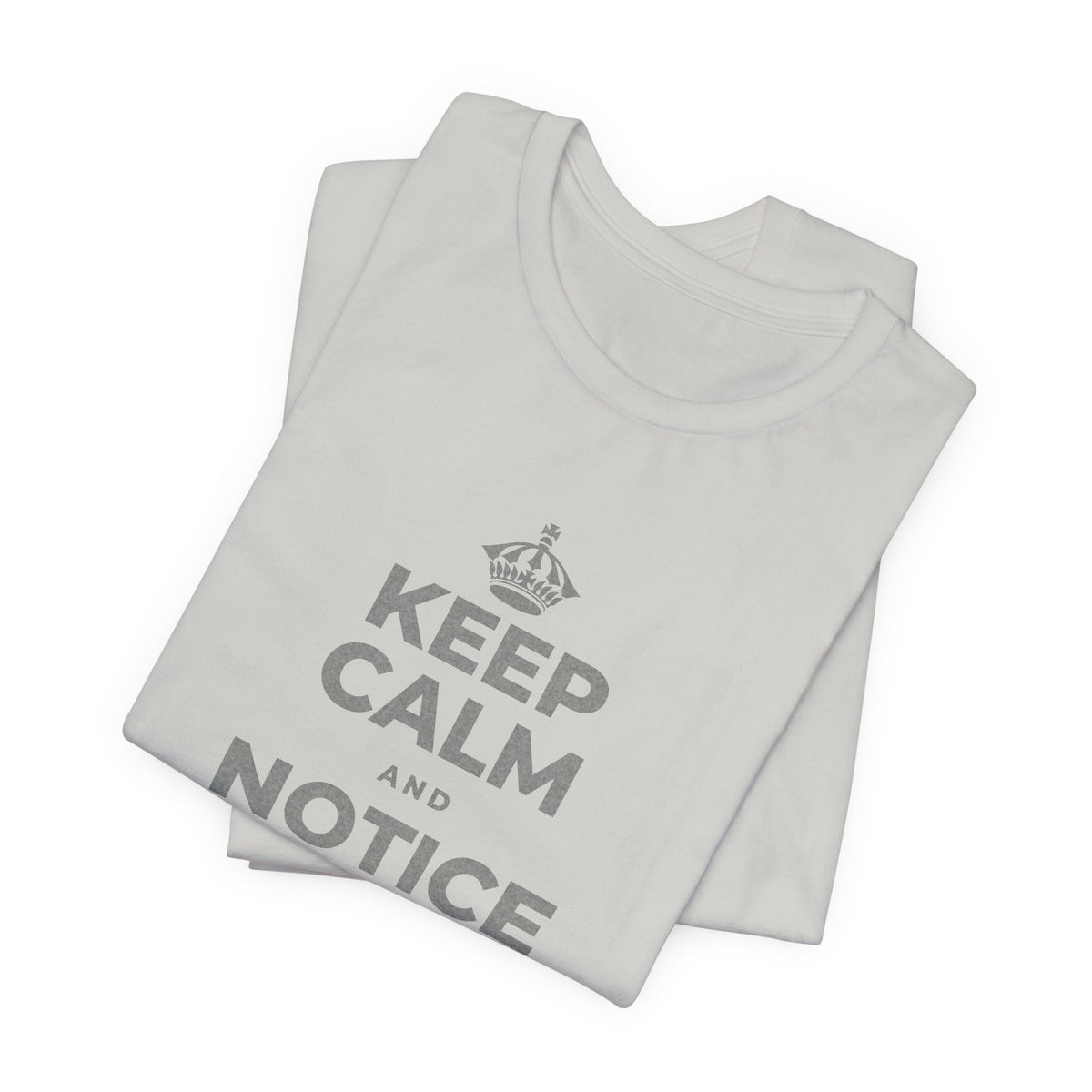 KEEP CALM AND NOTICE YOU'RE SAFE RIGHT NOW T-Shirt (Baby Blue–Silver)