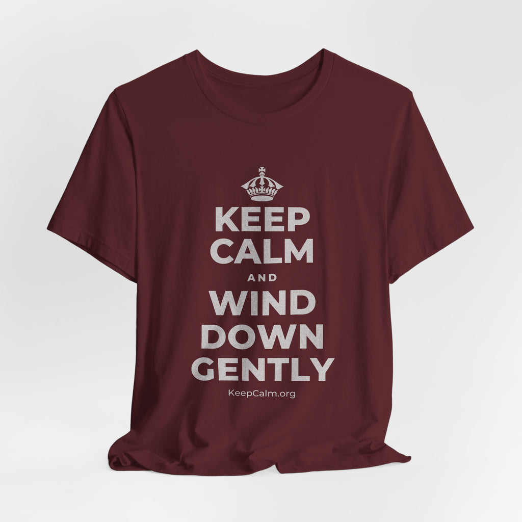 KEEP CALM AND WIND DOWN GENTLY T-Shirt (Baby Blue–Silver)