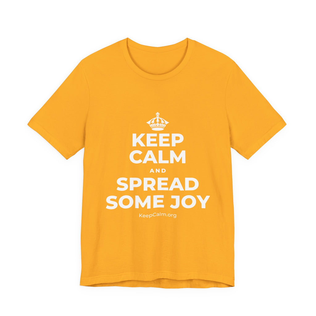 KEEP CALM AND SPREAD SOME JOY T-Shirt (Baby Blue–Silver)