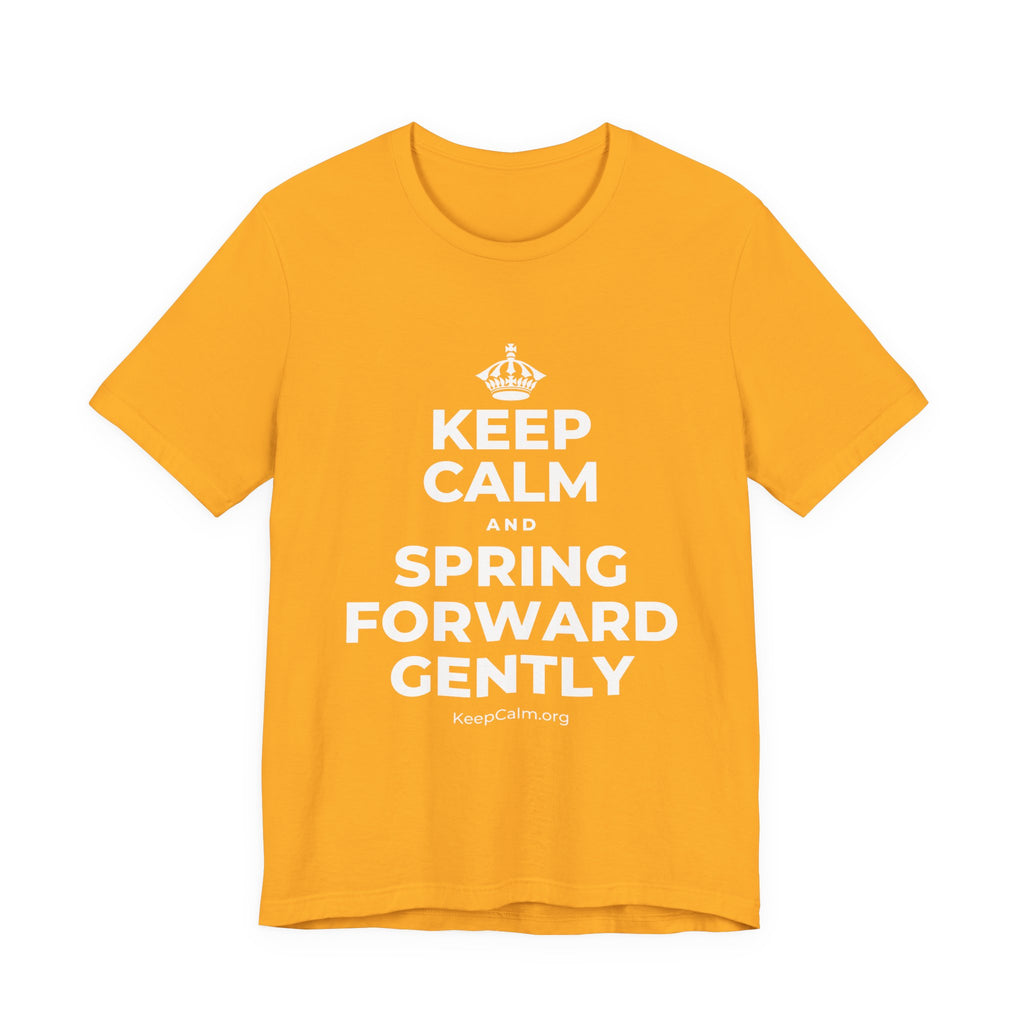 KEEP CALM AND SPRING FORWARD GENTLY T-Shirt (Baby Blue–Silver)
