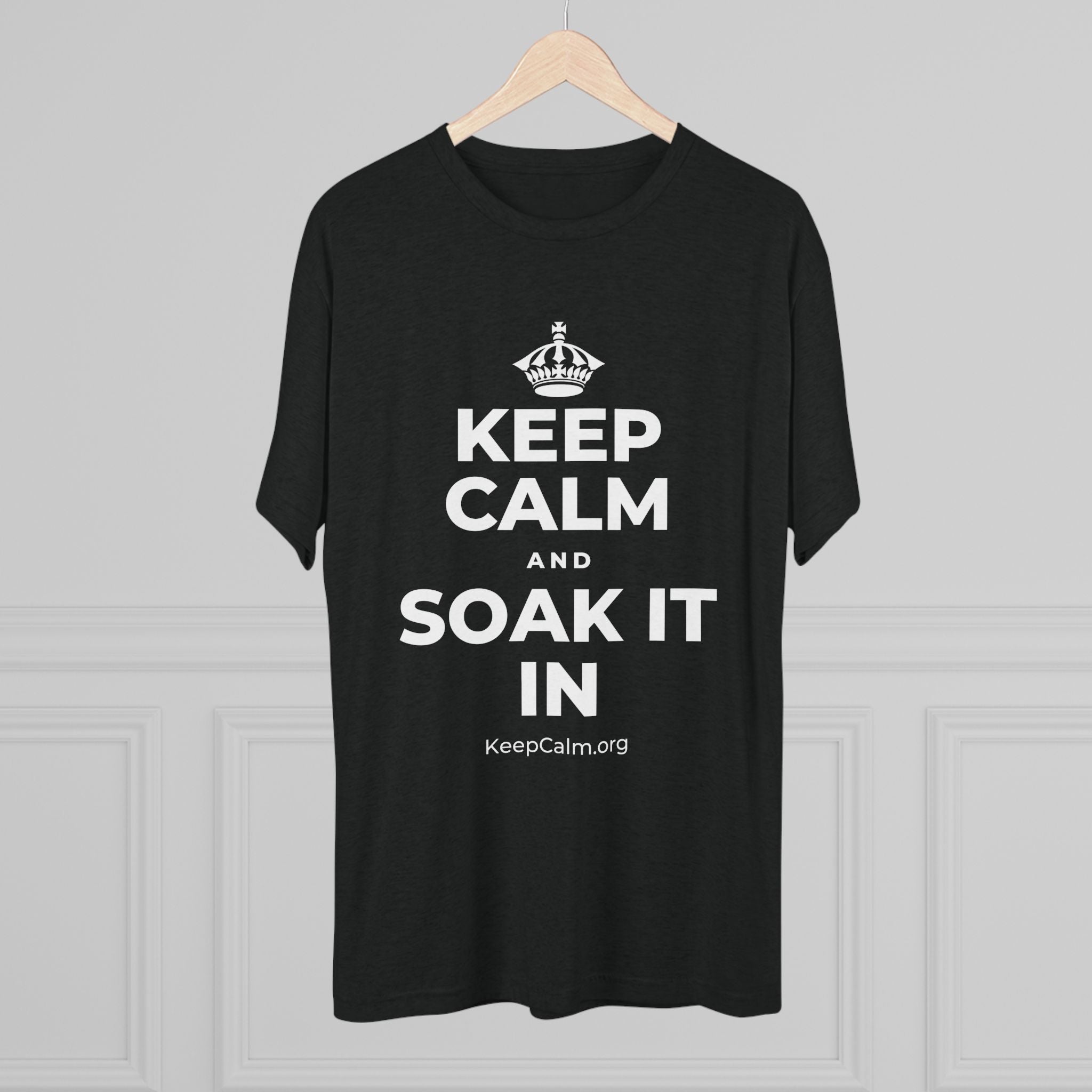 KEEP CALM AND SOAK IT IN Tri-Blend Tee