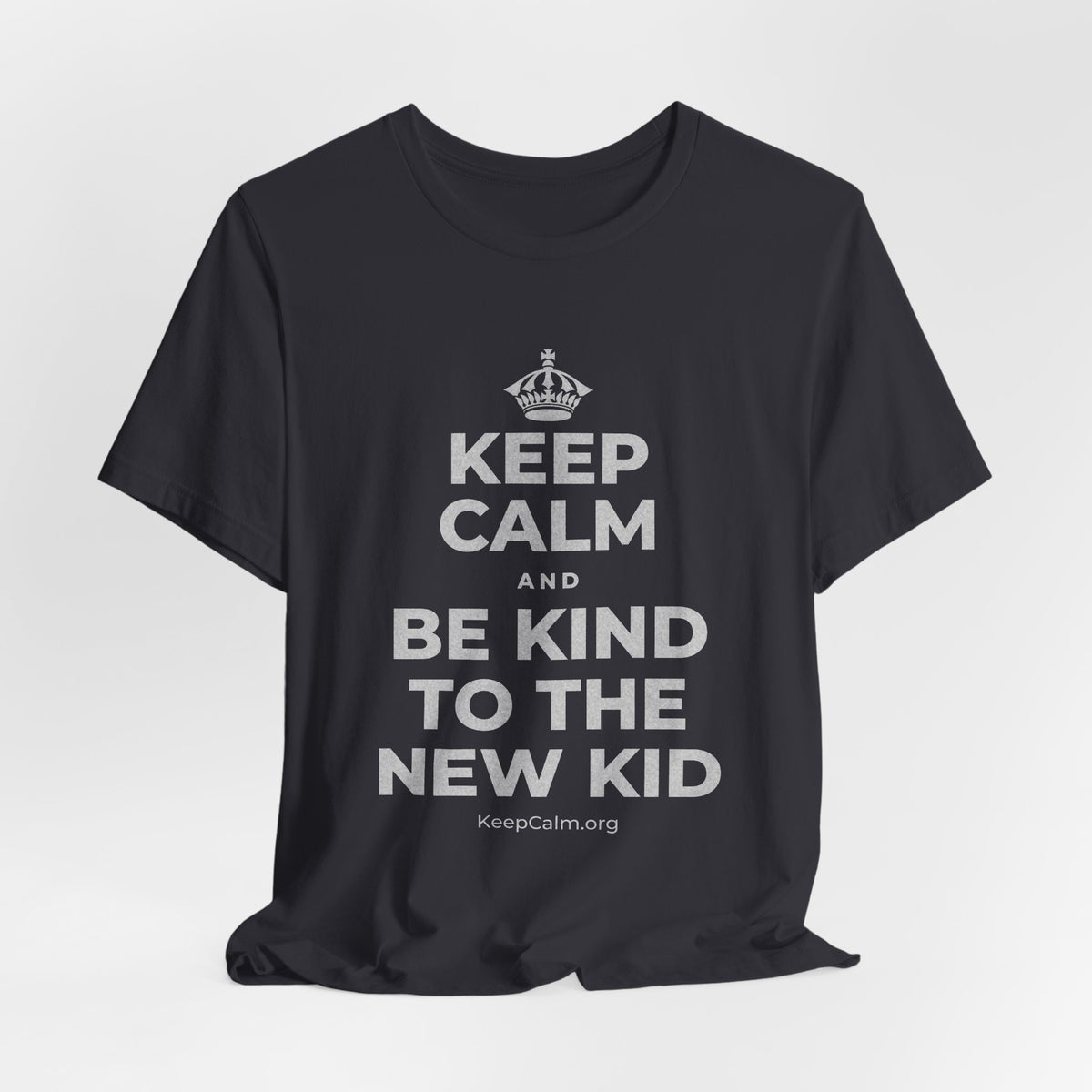 KEEP CALM AND BE KIND TO THE NEW KID T-Shirt (Baby Blue–Silver)