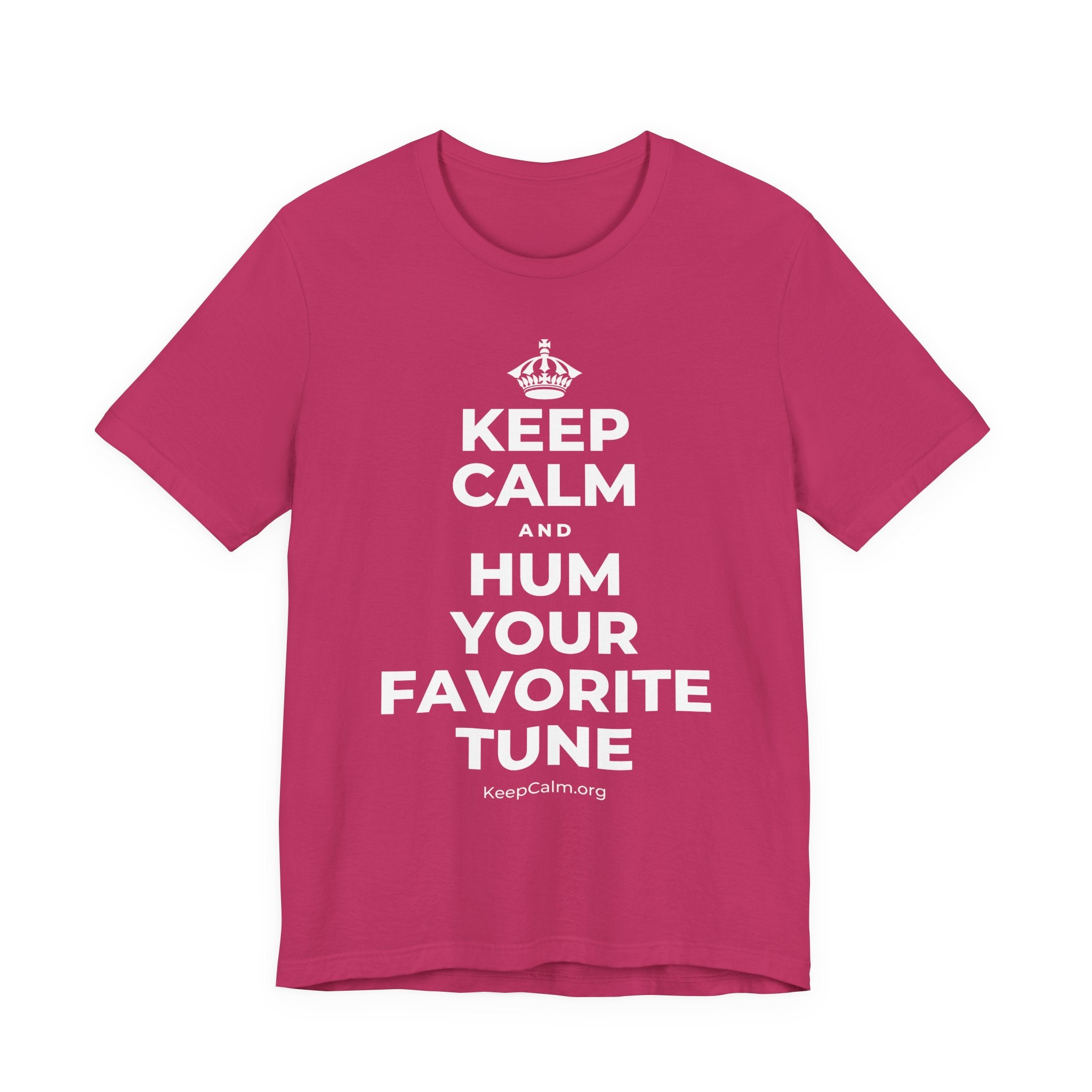 KEEP CALM AND HUM YOUR FAVORITE TUNE T-Shirt (Baby Blue–Silver)