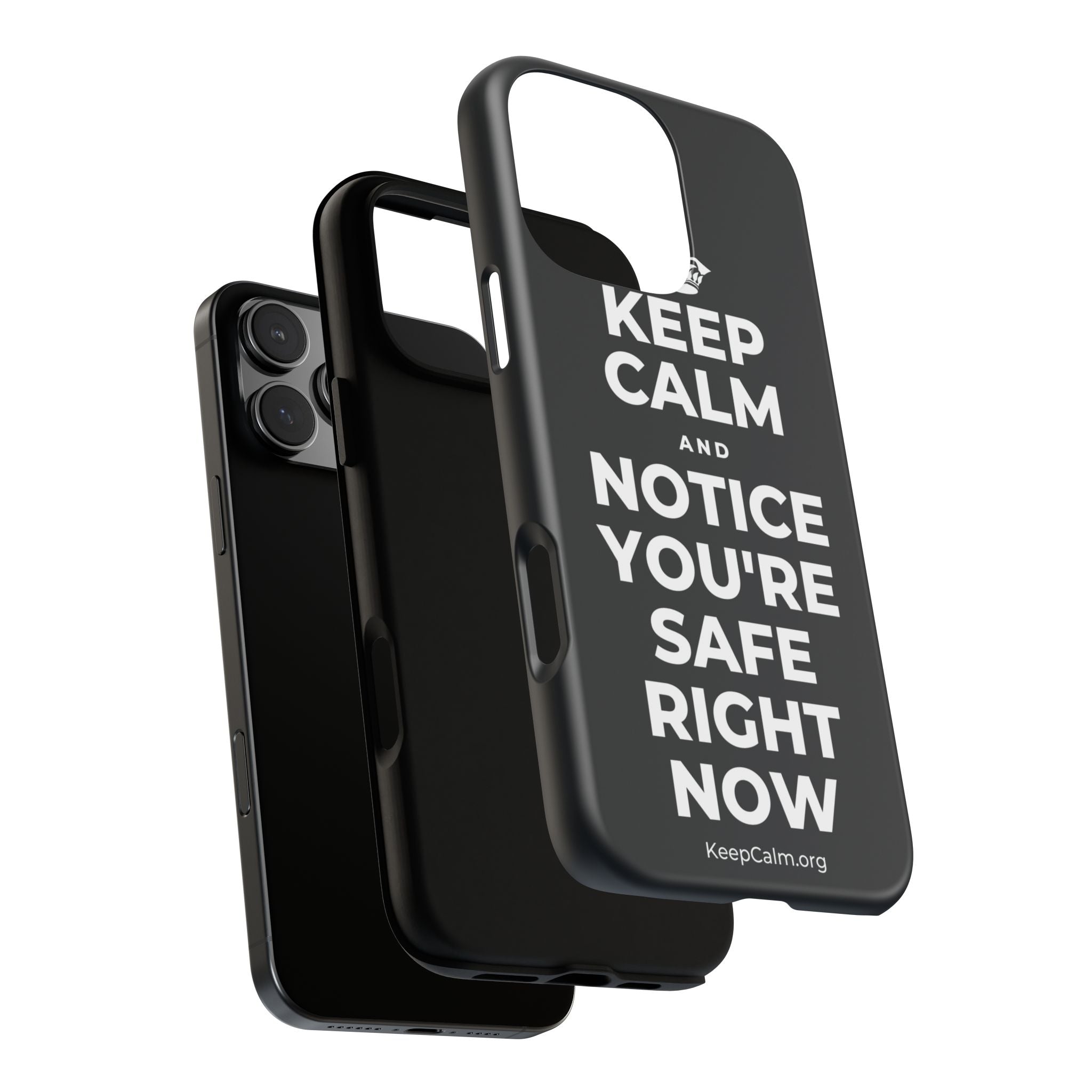 KEEP CALM AND NOTICE YOU'RE SAFE RIGHT NOW Phone Case (Dark)