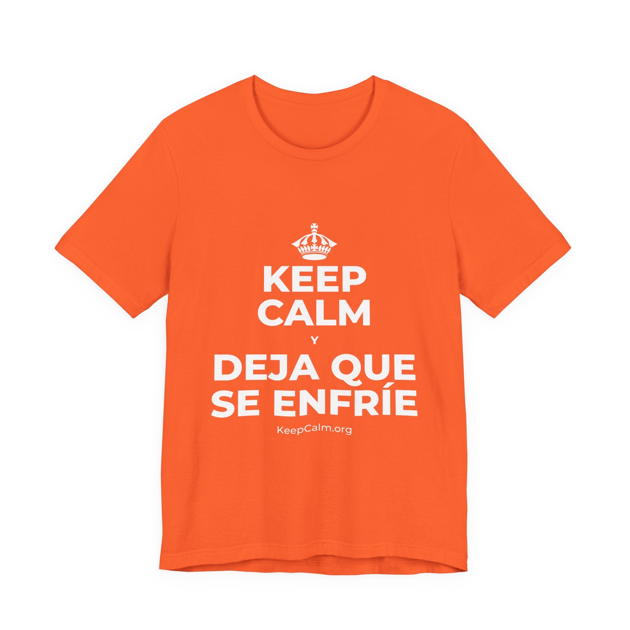 KEEP CALM Y DEJA QUE SE ENFRÍE T-Shirt (Baby Blue–Silver)