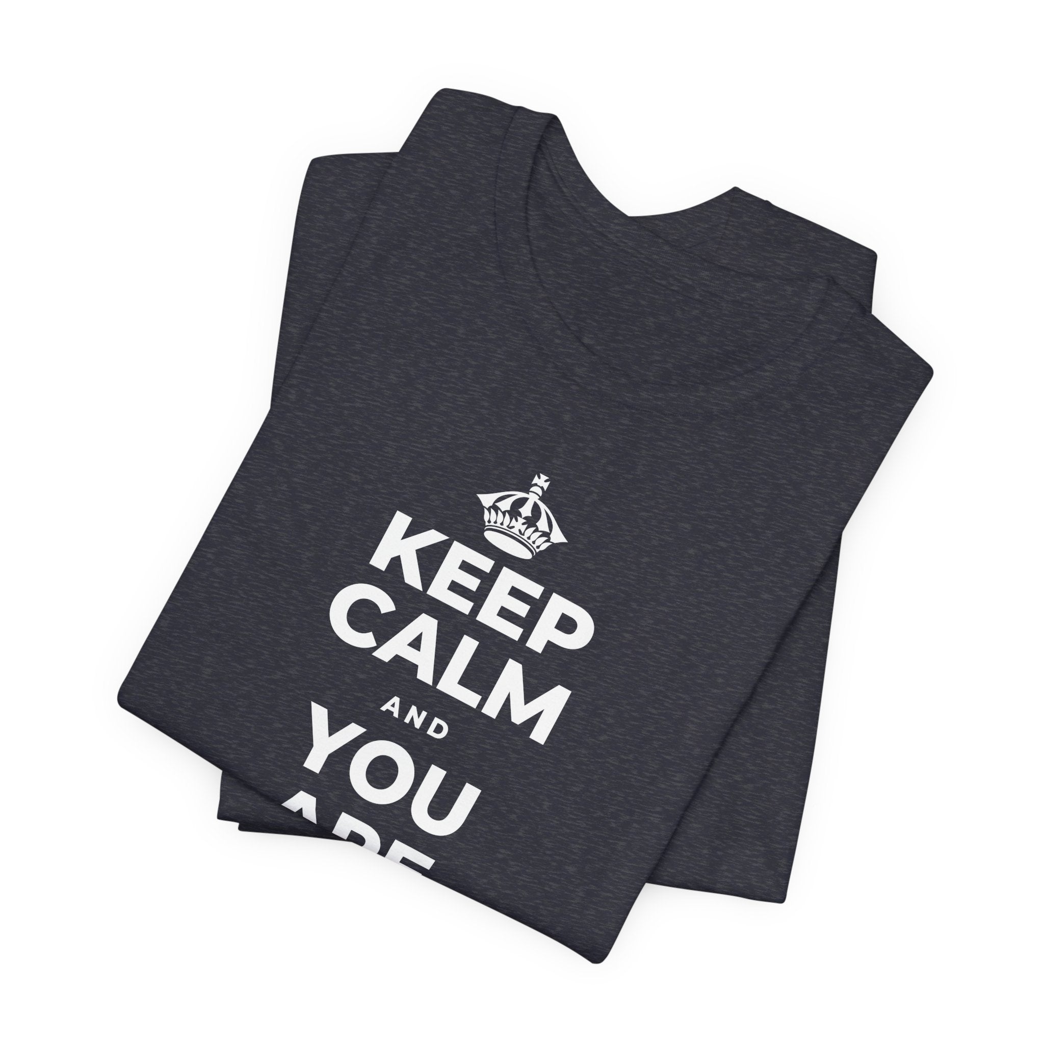 KEEP CALM AND YOU ARE DOING GREAT TODAY T-Shirt (White–Asphalt)