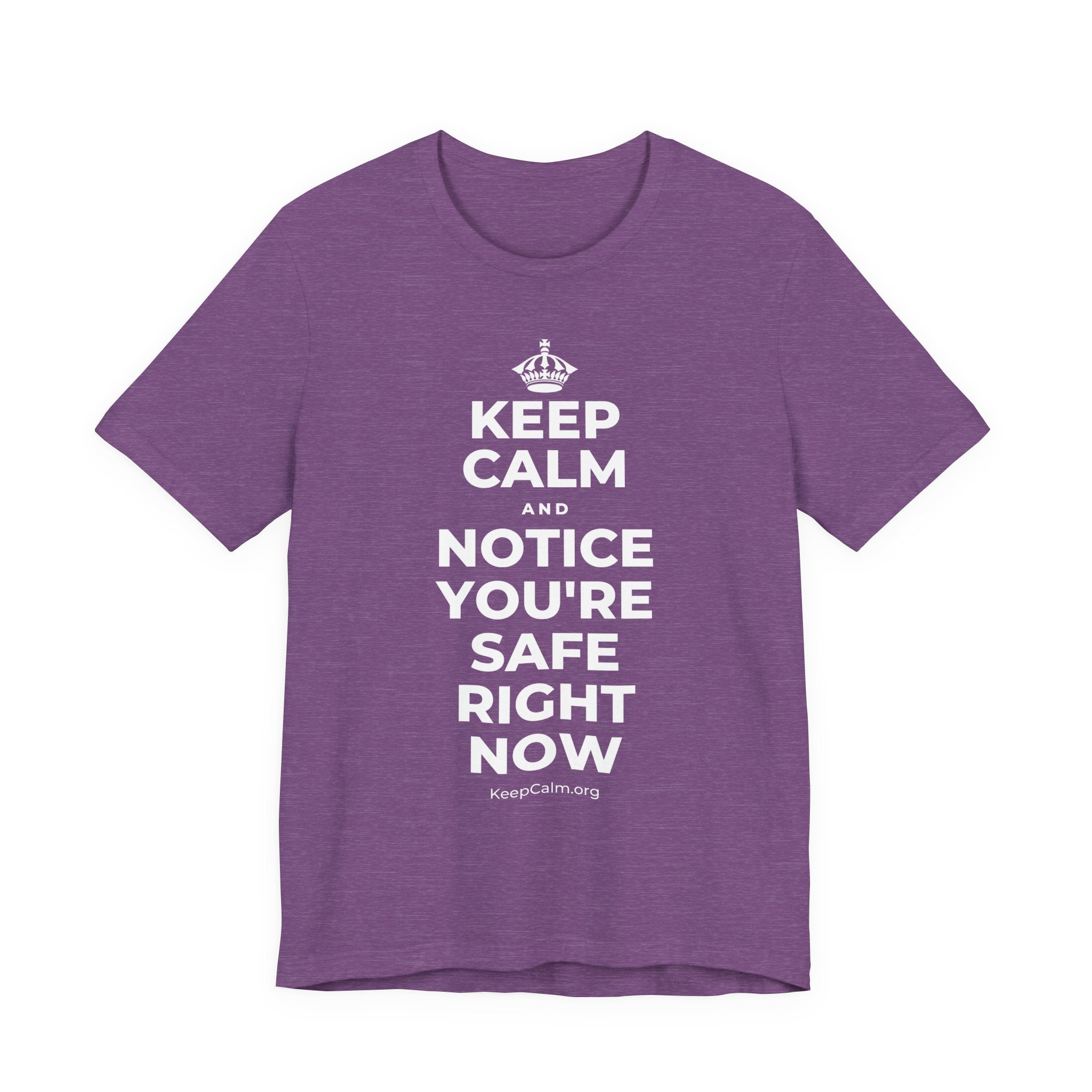 KEEP CALM AND NOTICE YOU'RE SAFE RIGHT NOW T-Shirt (Baby Blue–Silver)