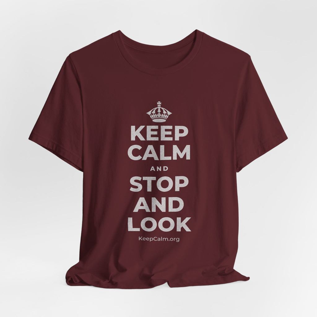 KEEP CALM AND STOP AND LOOK T-Shirt (Baby Blue–Silver)