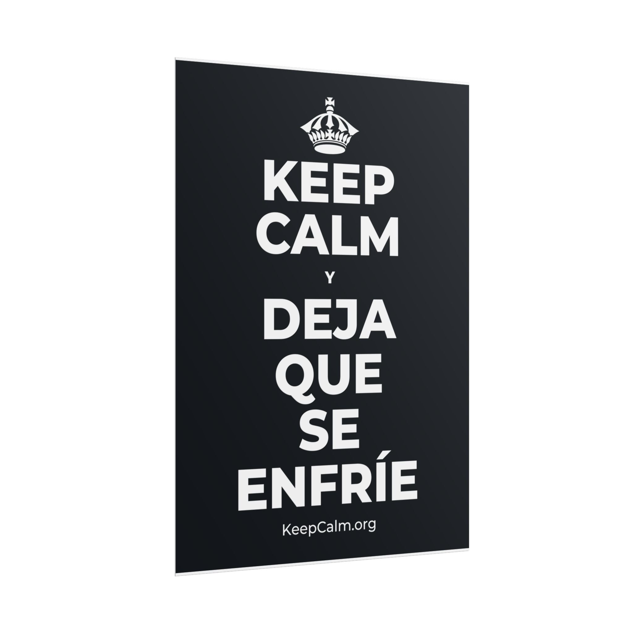 KEEP CALM Y DEJA QUE SE ENFRÍE Poster (Dark)