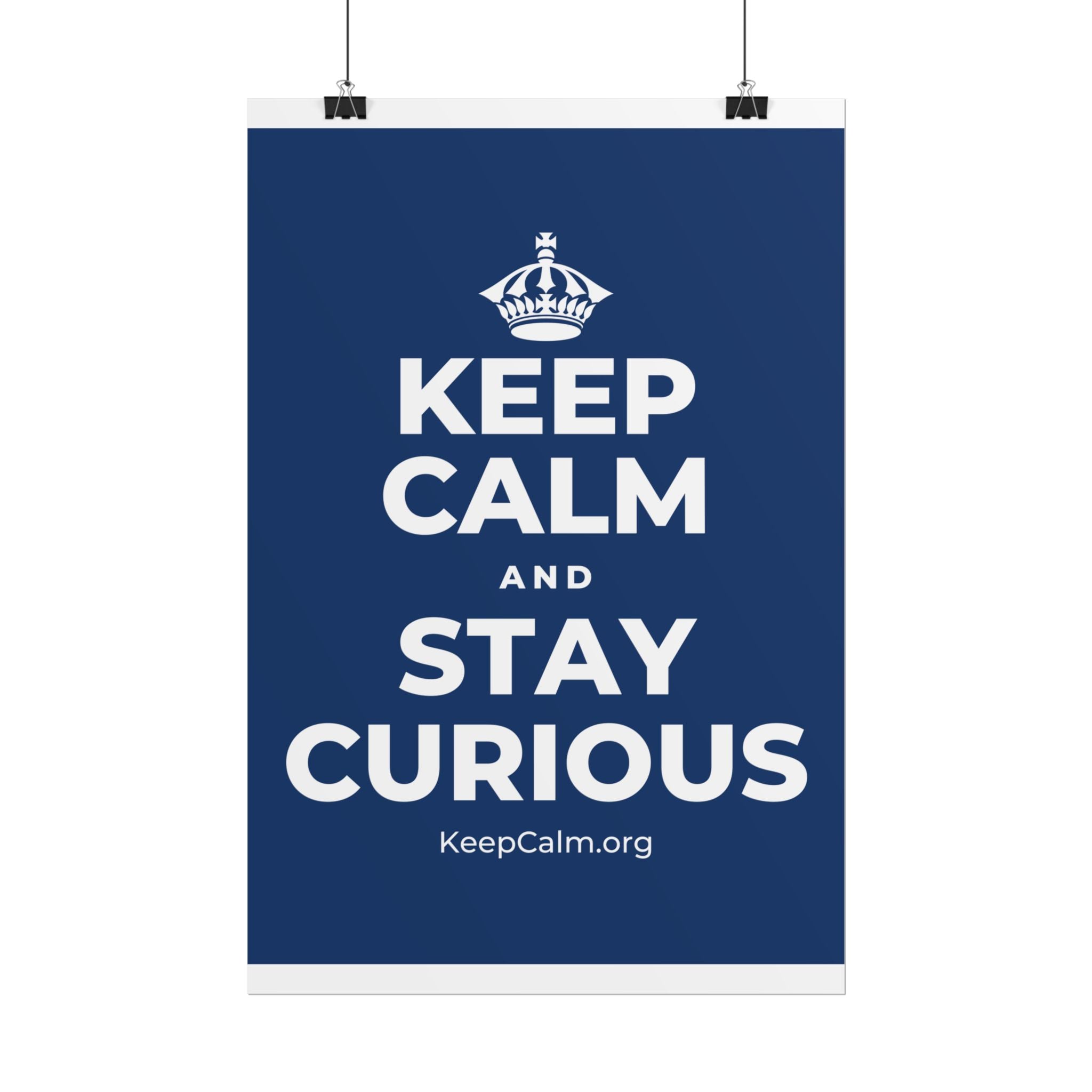 KEEP CALM AND STAY CURIOUS Poster
