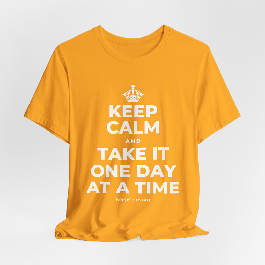 KEEP CALM AND TAKE IT ONE DAY AT A TIME T-Shirt (Baby Blue–Silver)