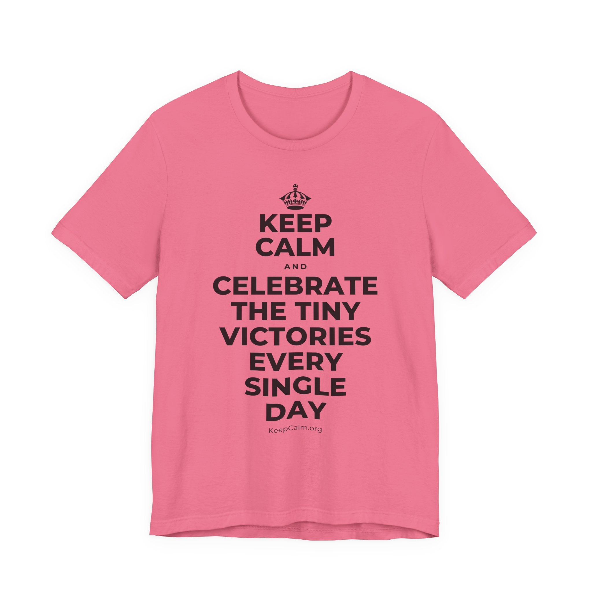 KEEP CALM AND CELEBRATE THE TINY VICTORIES EVERY SINGLE DAY T-Shirt (Military Green–Autumn)