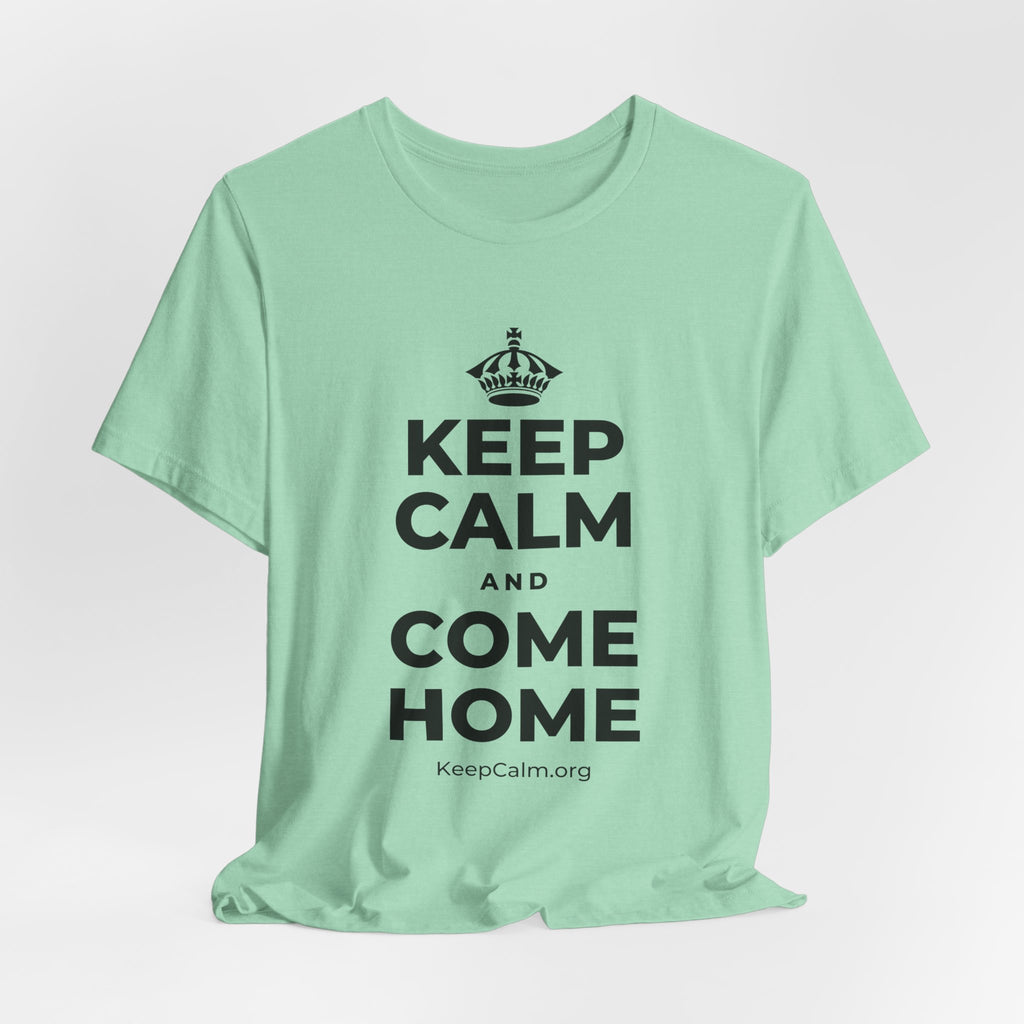 KEEP CALM AND COME HOME T-Shirt (Baby Blue–Silver)