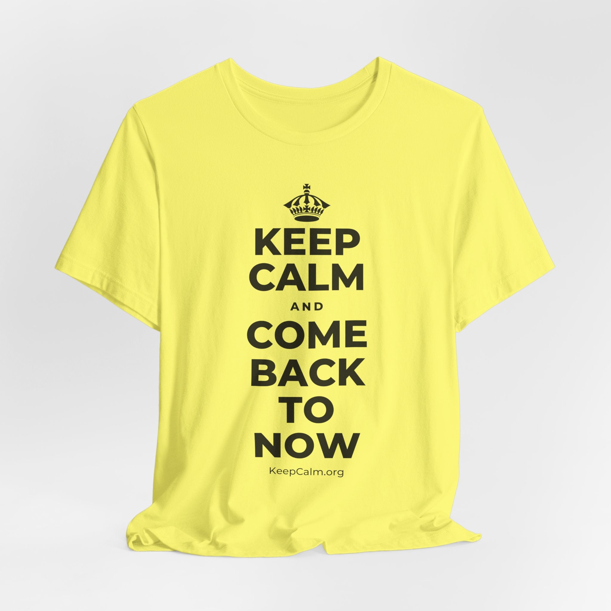 KEEP CALM AND COME BACK TO NOW T-Shirt (Soft Cream–Heather Mauve)