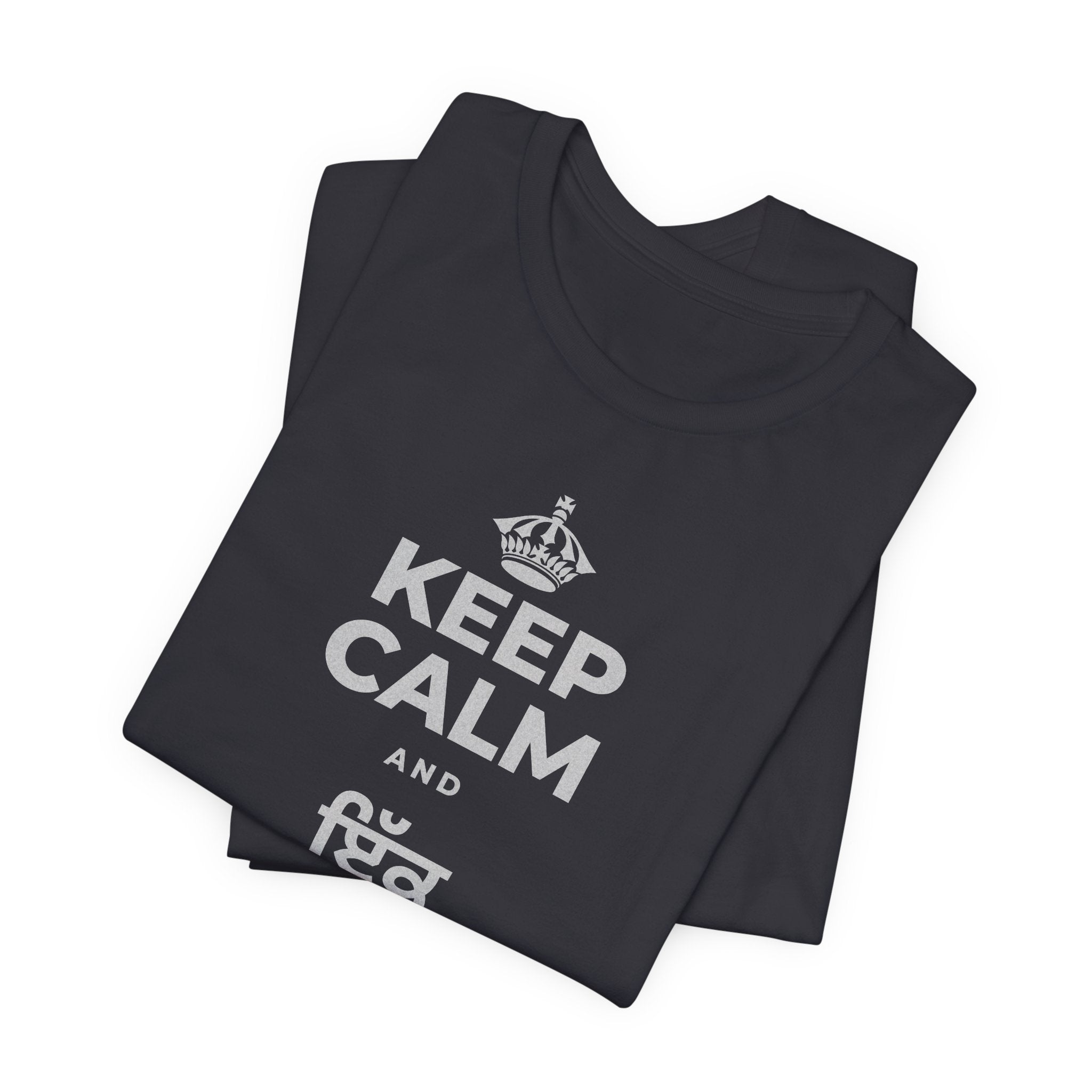 KEEP CALM AND ਇੱਕ ਬੀਜ ਬੀਜੋ T-Shirt (Baby Blue–Silver)