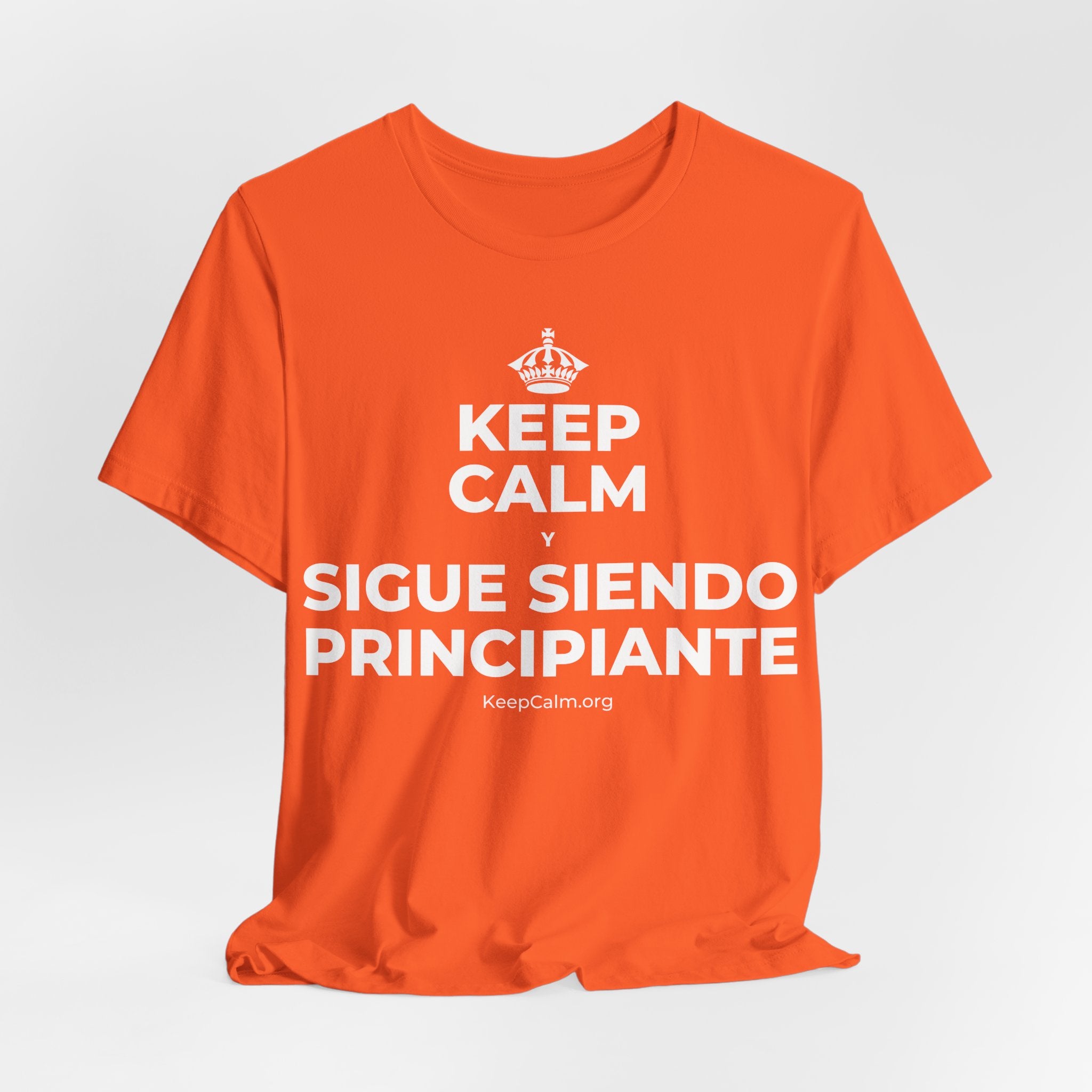 KEEP CALM Y SIGUE SIENDO PRINCIPIANTE T-Shirt (Baby Blue–Silver)