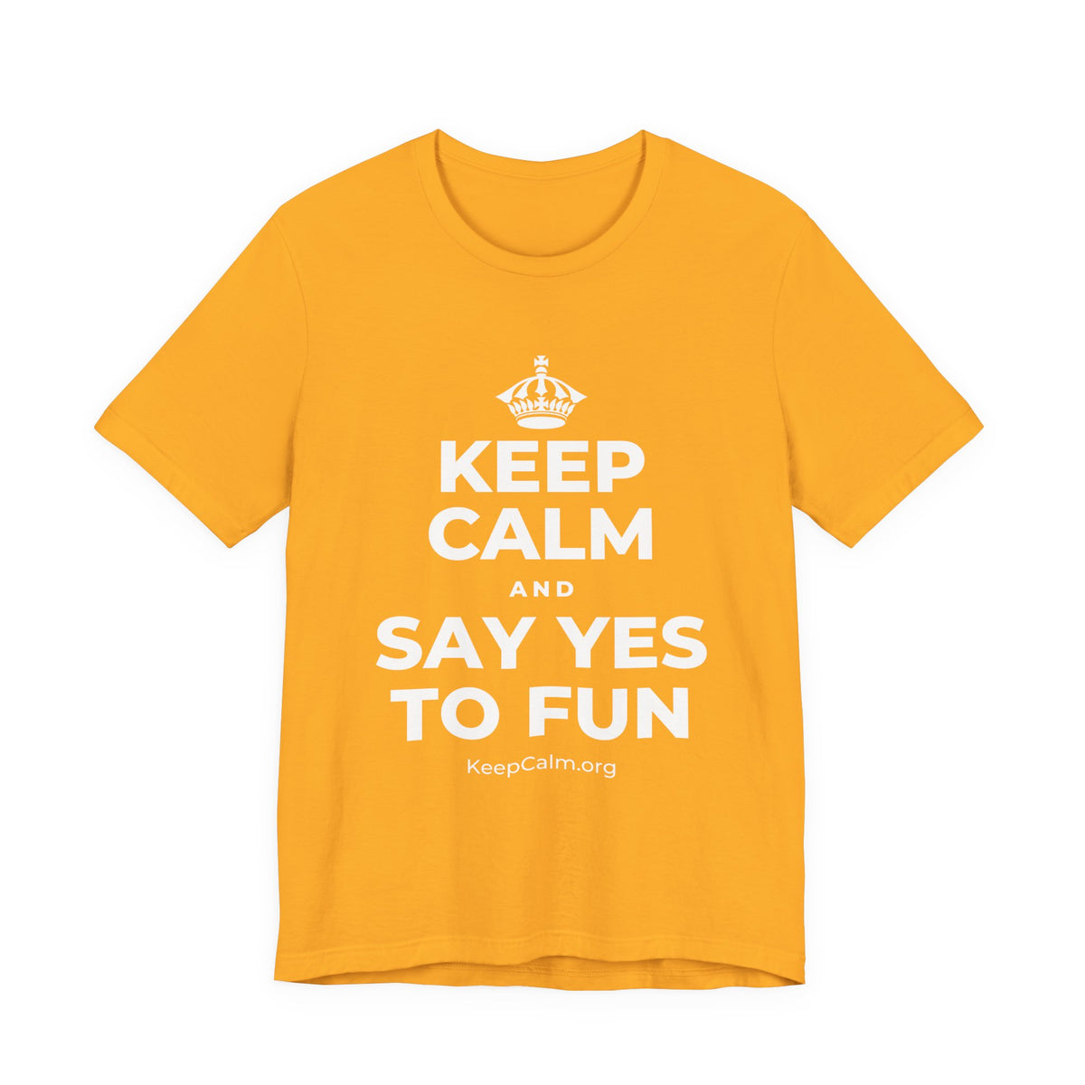 KEEP CALM AND SAY YES TO FUN T-Shirt (Baby Blue–Silver)