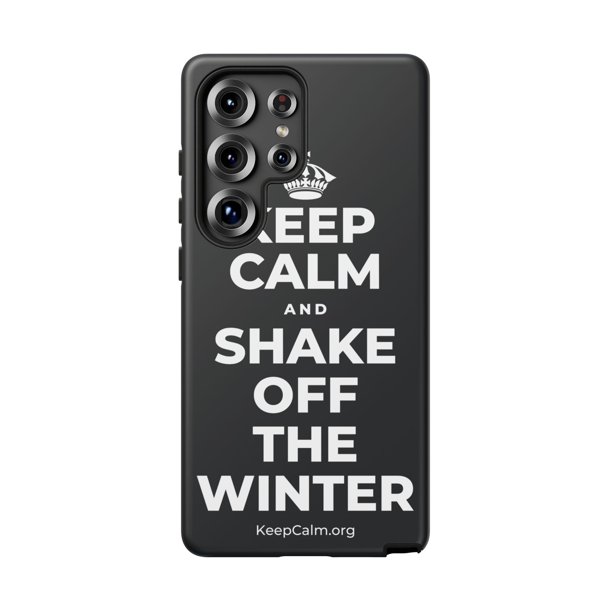KEEP CALM AND SHAKE OFF THE WINTER Phone Case (Dark)