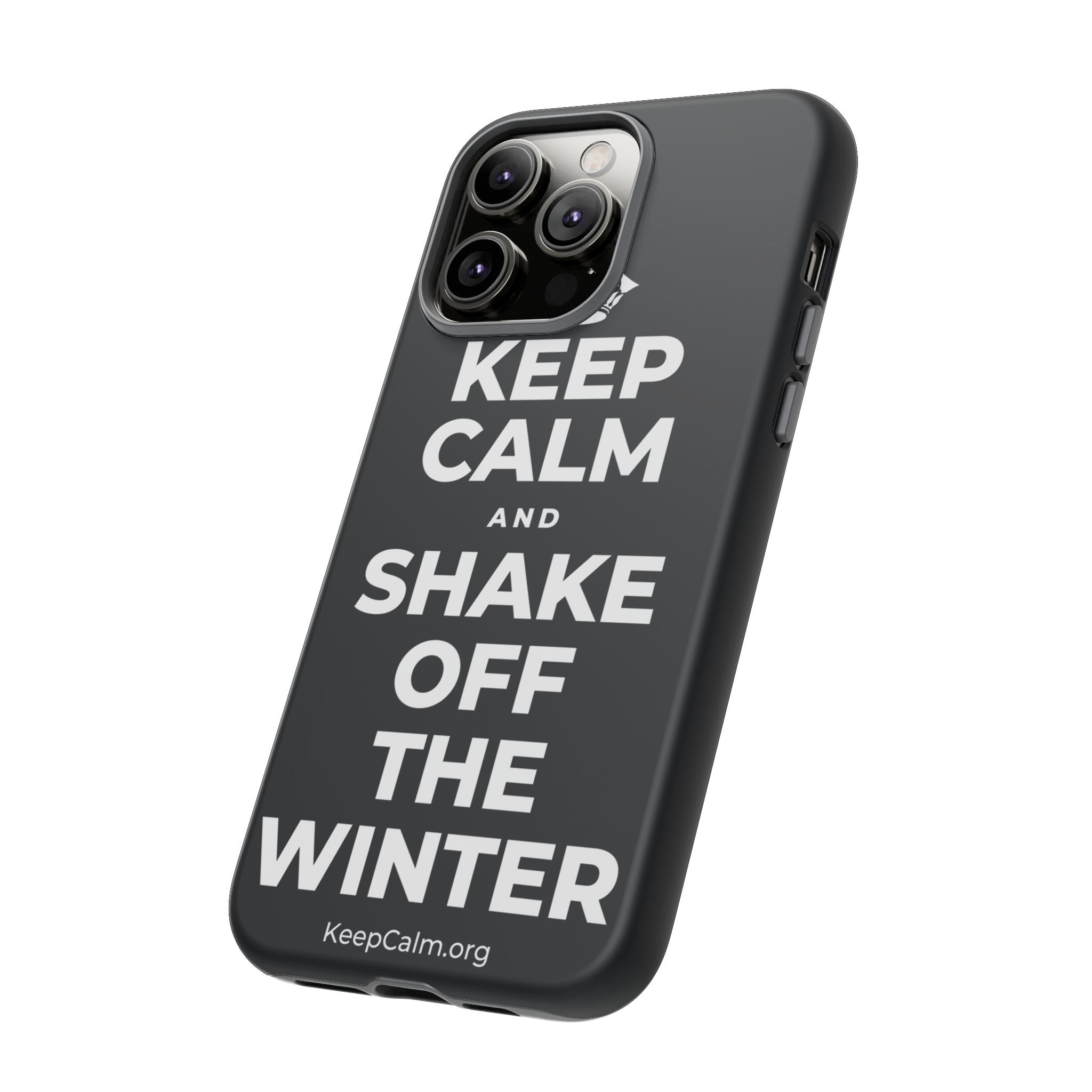 KEEP CALM AND SHAKE OFF THE WINTER Phone Case (Dark)