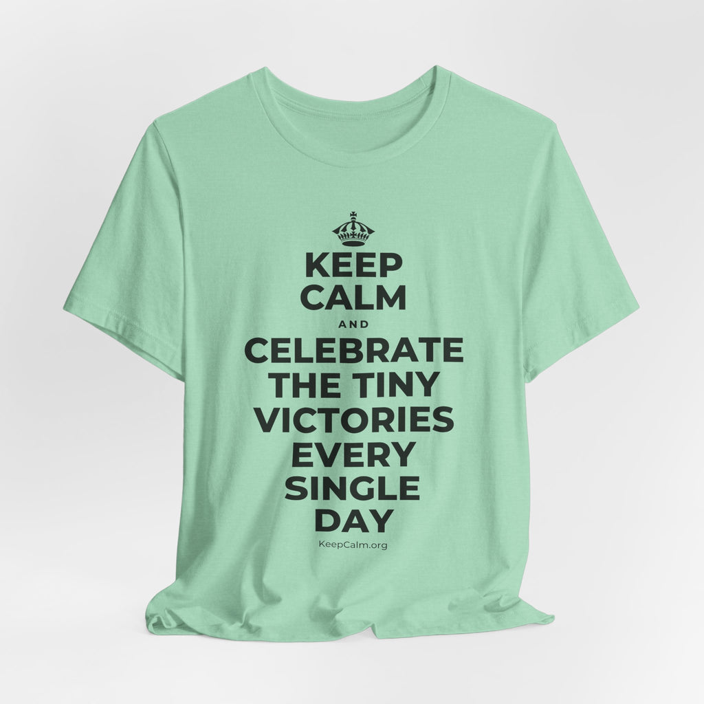 KEEP CALM AND CELEBRATE THE TINY VICTORIES EVERY SINGLE DAY T-Shirt (Baby Blue–Silver)