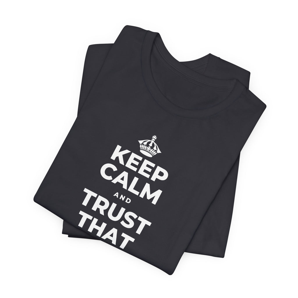 KEEP CALM AND TRUST THAT YOU'RE DOING YOUR BEST T-Shirt (Baby Blue–Silver)