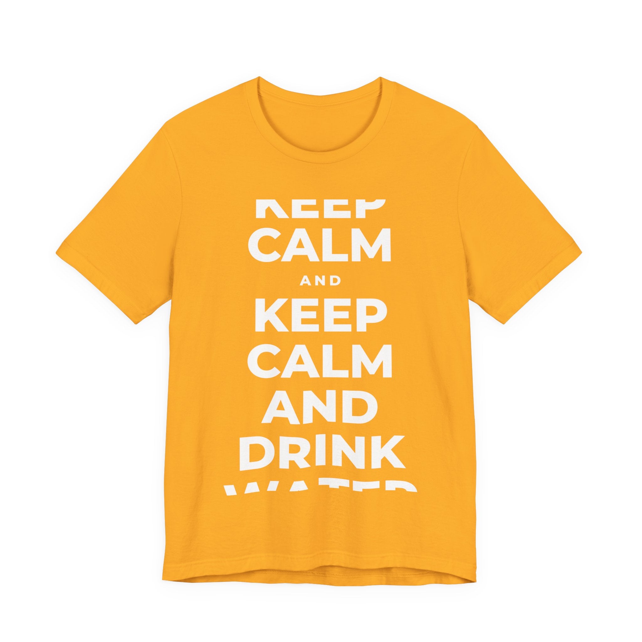 KEEP CALM AND DRINK WATER T-Shirt (Baby Blue–Silver)