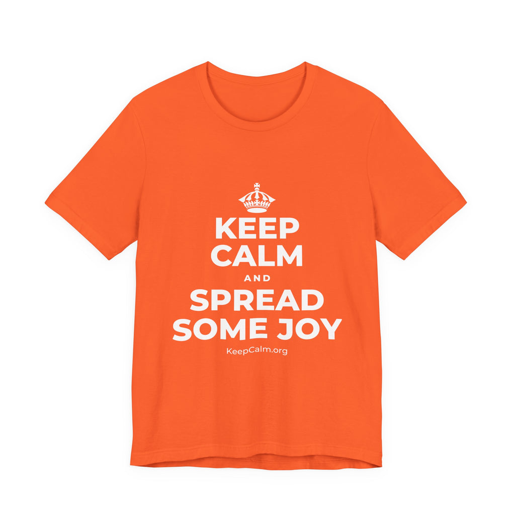 KEEP CALM AND SPREAD SOME JOY T-Shirt (Baby Blue–Silver)