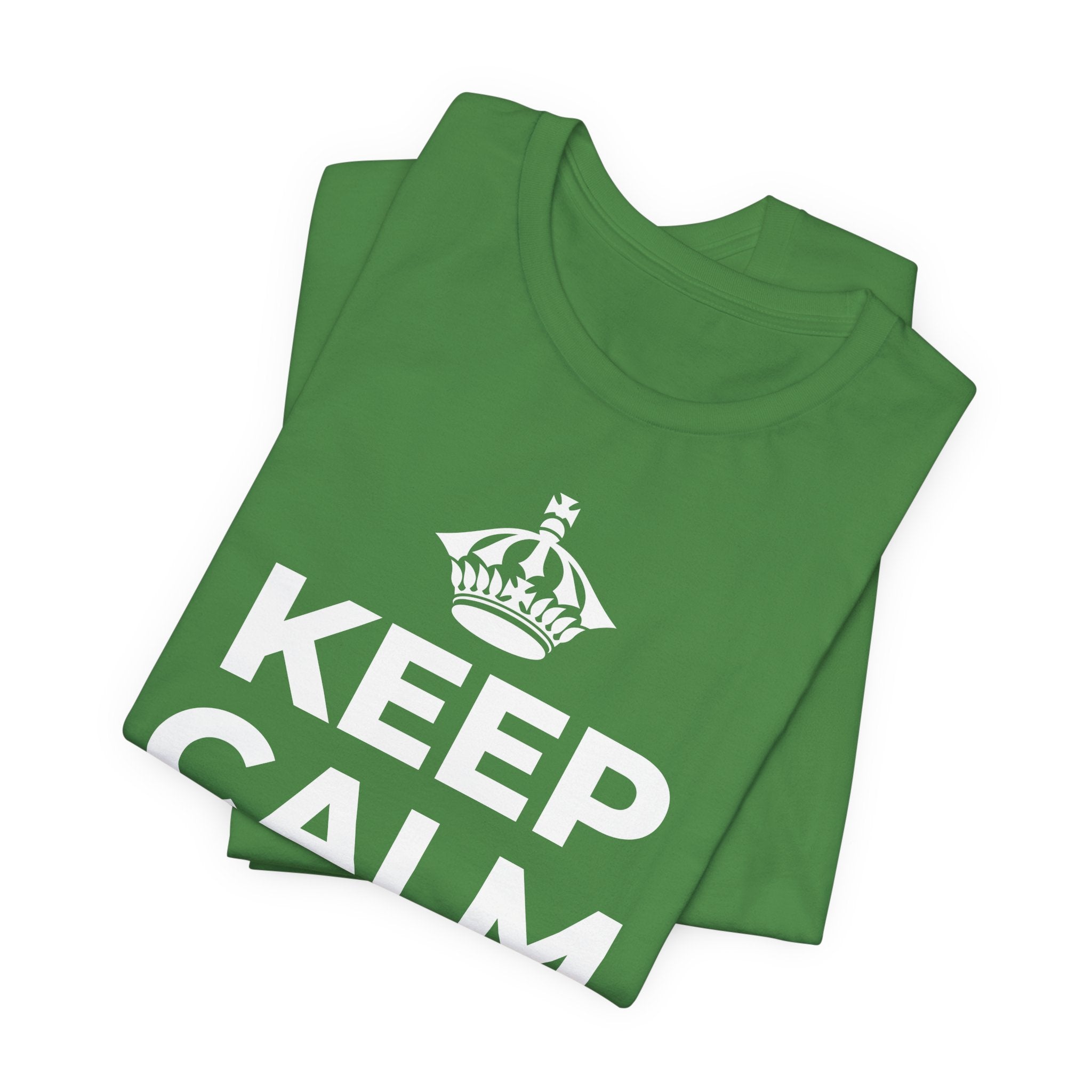 KEEP CALM AND முழு வாரத்தையும் பயன்படுத்துங்கள் T-Shirt (Baby Blue–Silver)