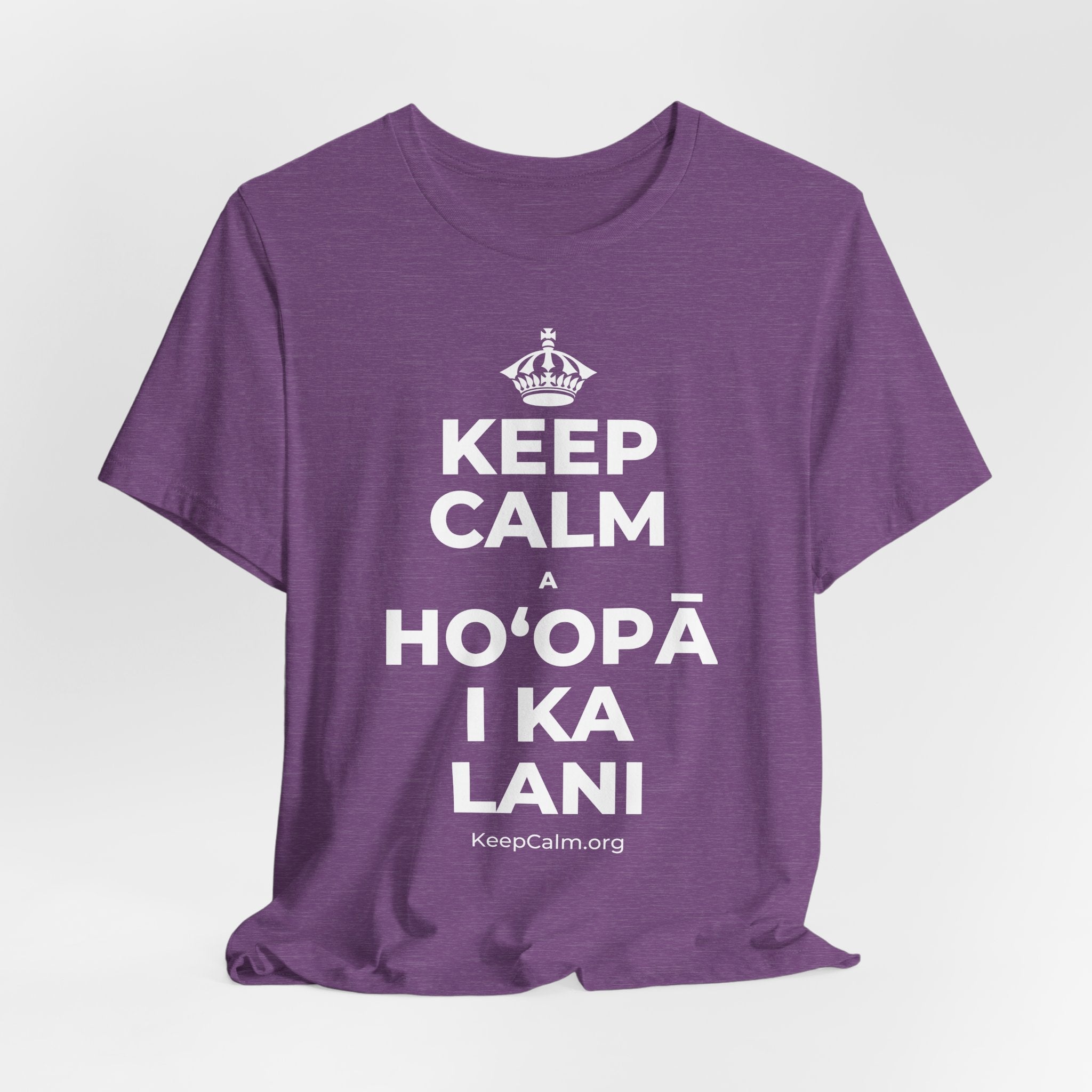 KEEP CALM A HOʻOPĀ I KA LANI T-Shirt (Baby Blue–Silver)