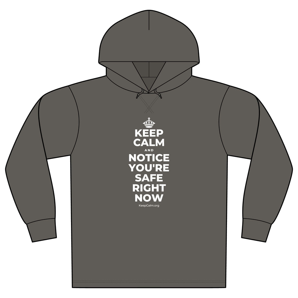 KEEP CALM AND NOTICE YOU'RE SAFE RIGHT NOW Organic Hoodie Tee
