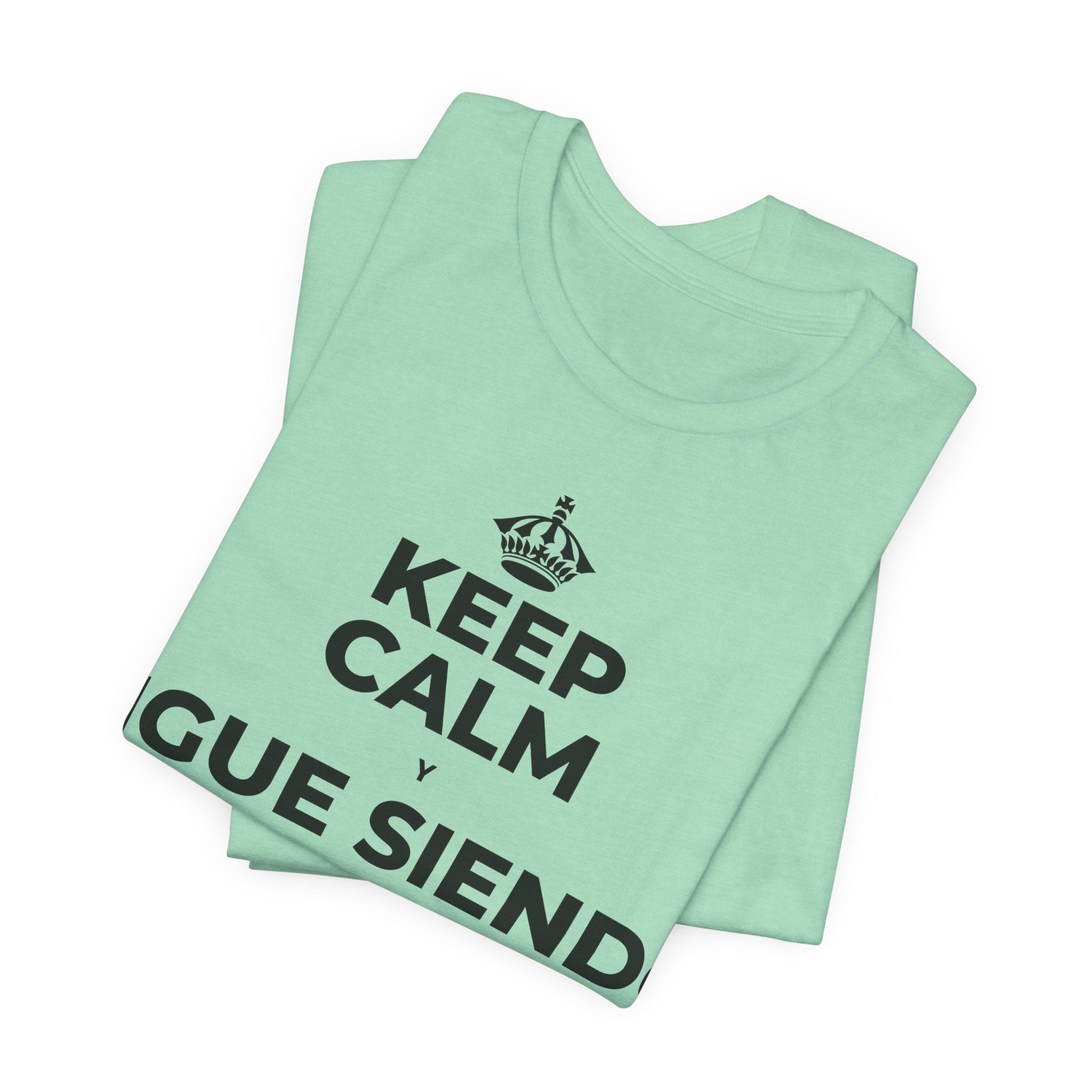 KEEP CALM Y SIGUE SIENDO PRINCIPIANTE T-Shirt (Baby Blue–Silver)
