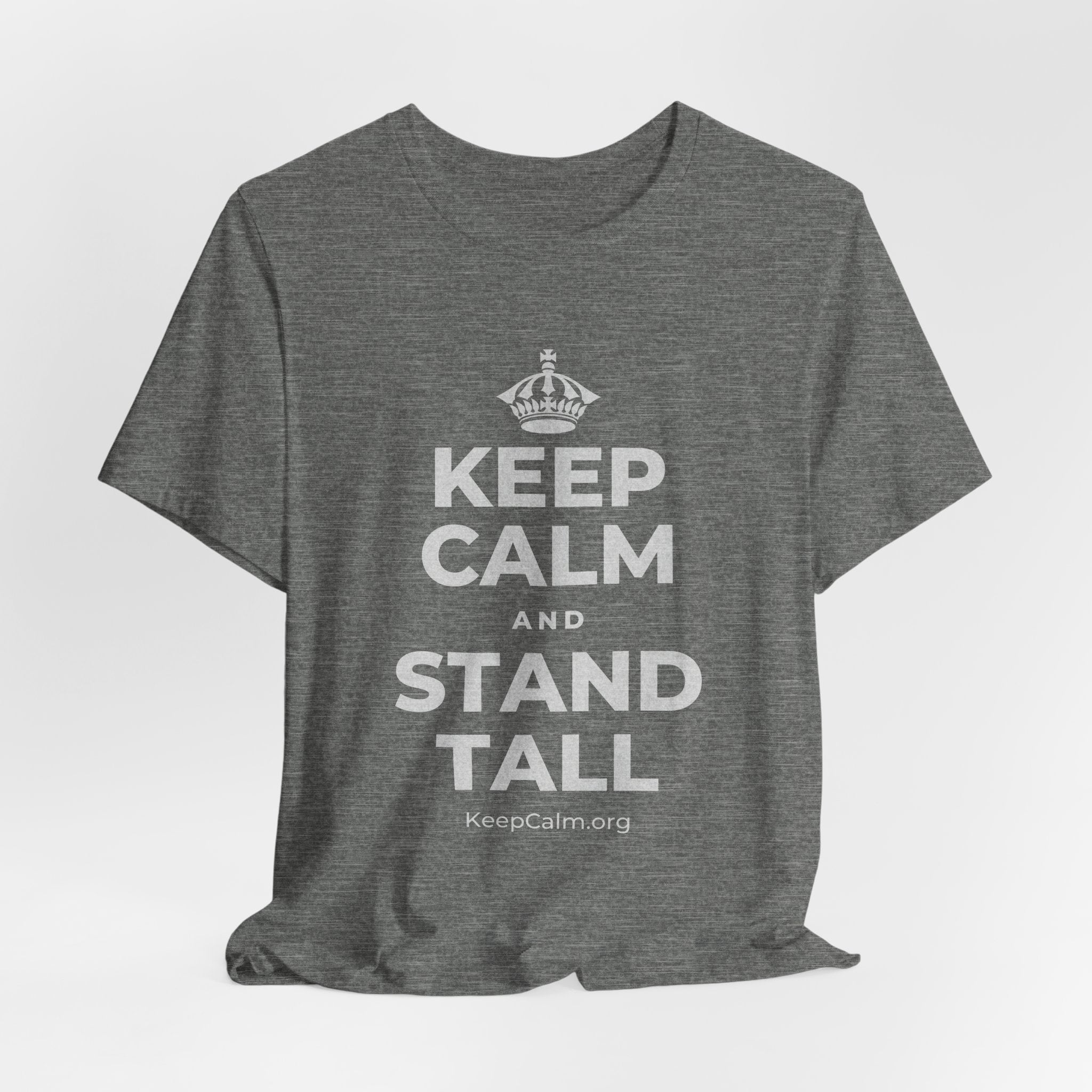 KEEP CALM AND STAND TALL T-Shirt (Baby Blue–Silver)