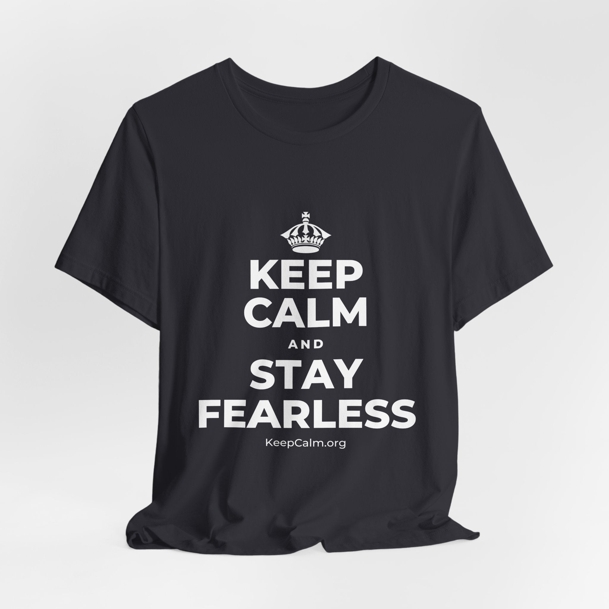 KEEP CALM AND STAY FEARLESS T-Shirt (Baby Blue–Silver)