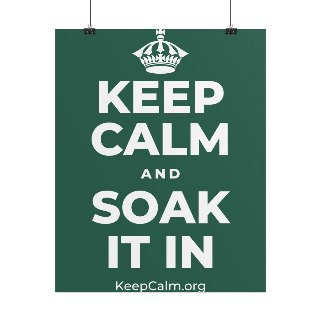 KEEP CALM AND SOAK IT IN Poster