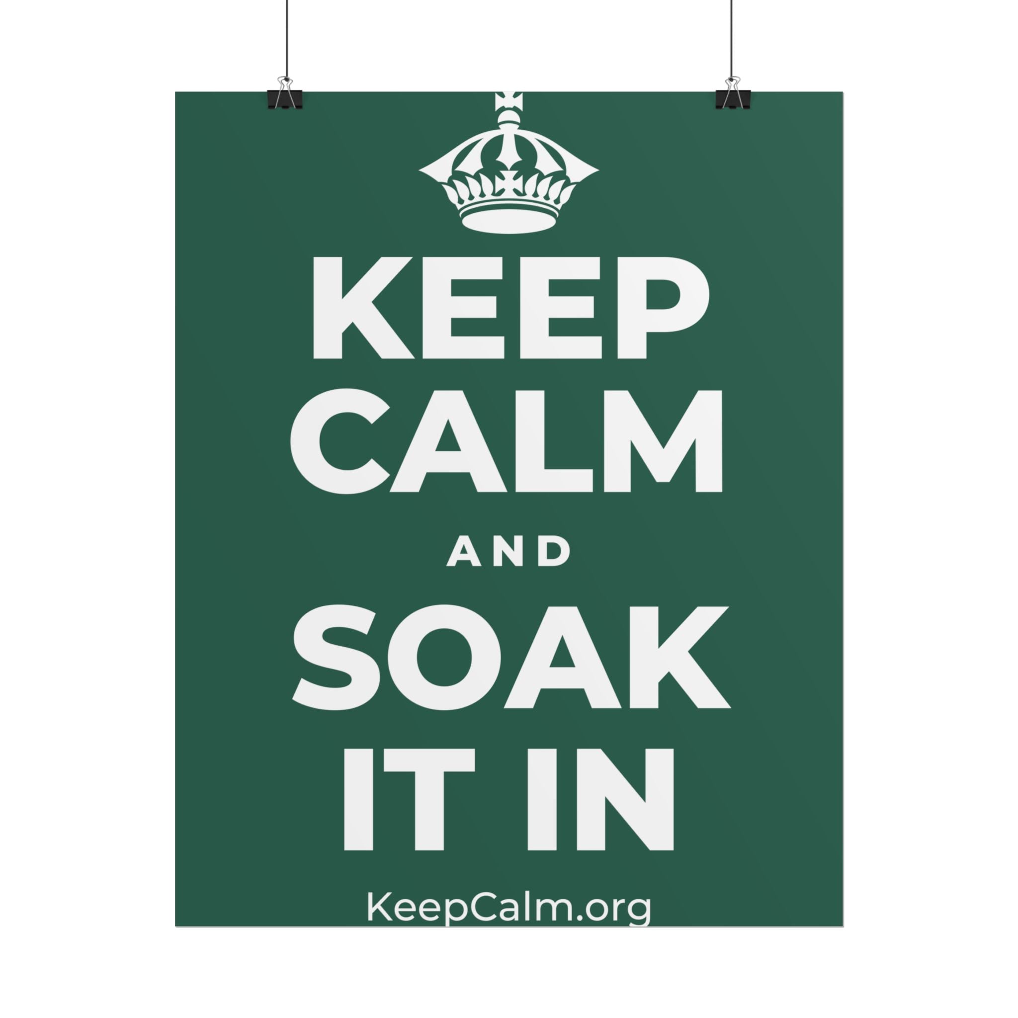 KEEP CALM AND SOAK IT IN Poster