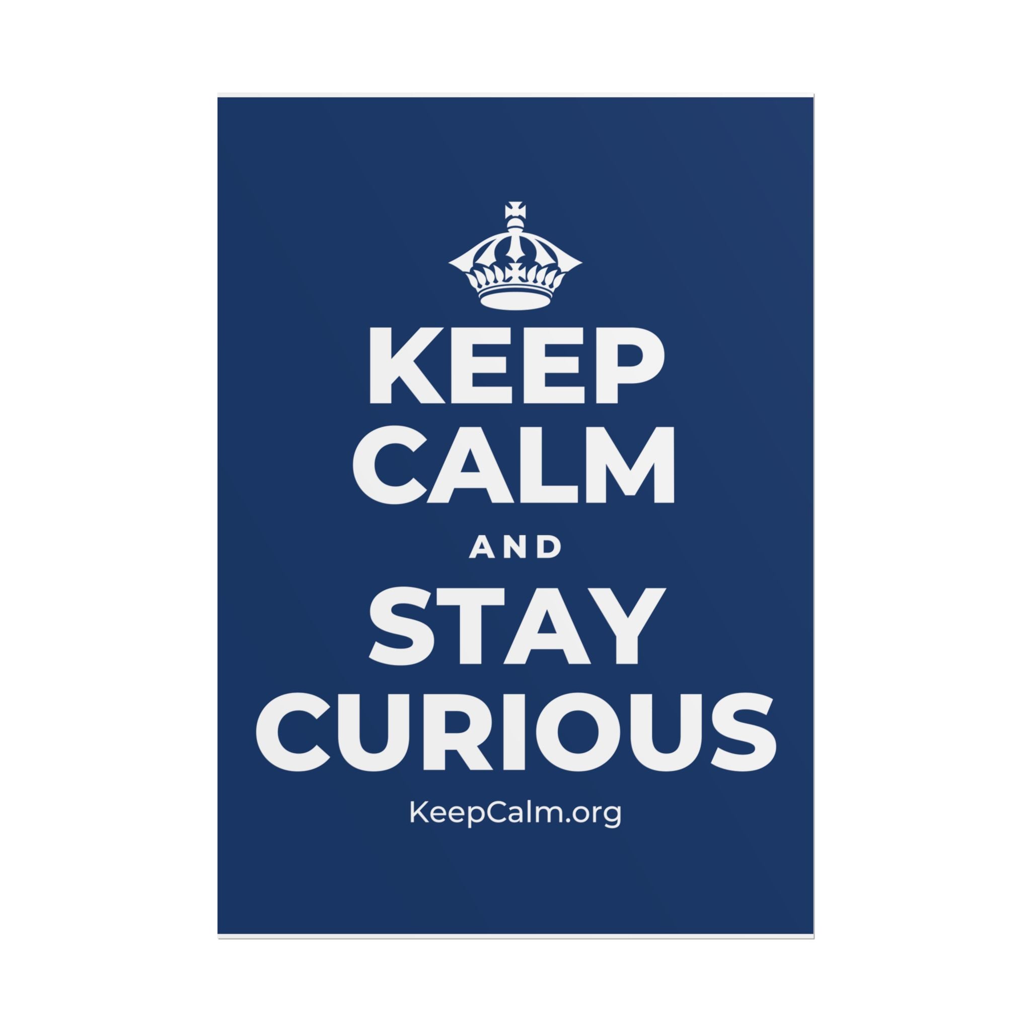 KEEP CALM AND STAY CURIOUS Poster