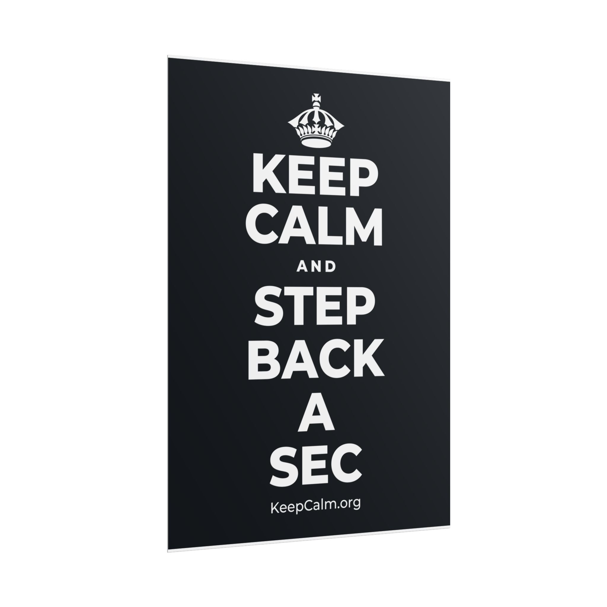 KEEP CALM AND STEP BACK A SEC Poster (Dark)