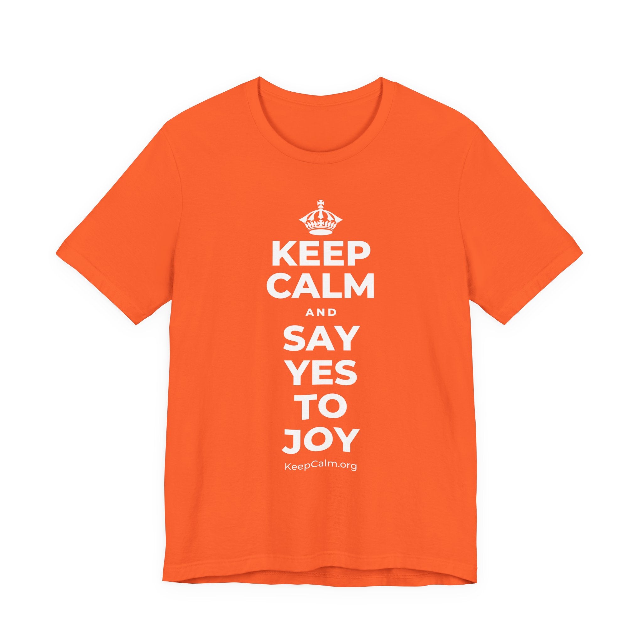 KEEP CALM AND SAY YES TO JOY T-Shirt (Baby Blue–Silver)