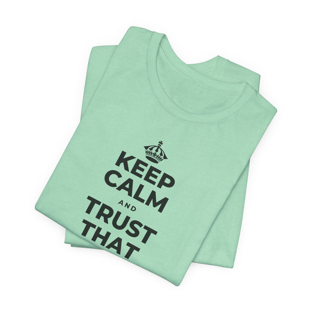 KEEP CALM AND TRUST THAT YOU'RE DOING YOUR BEST T-Shirt (Baby Blue–Silver)