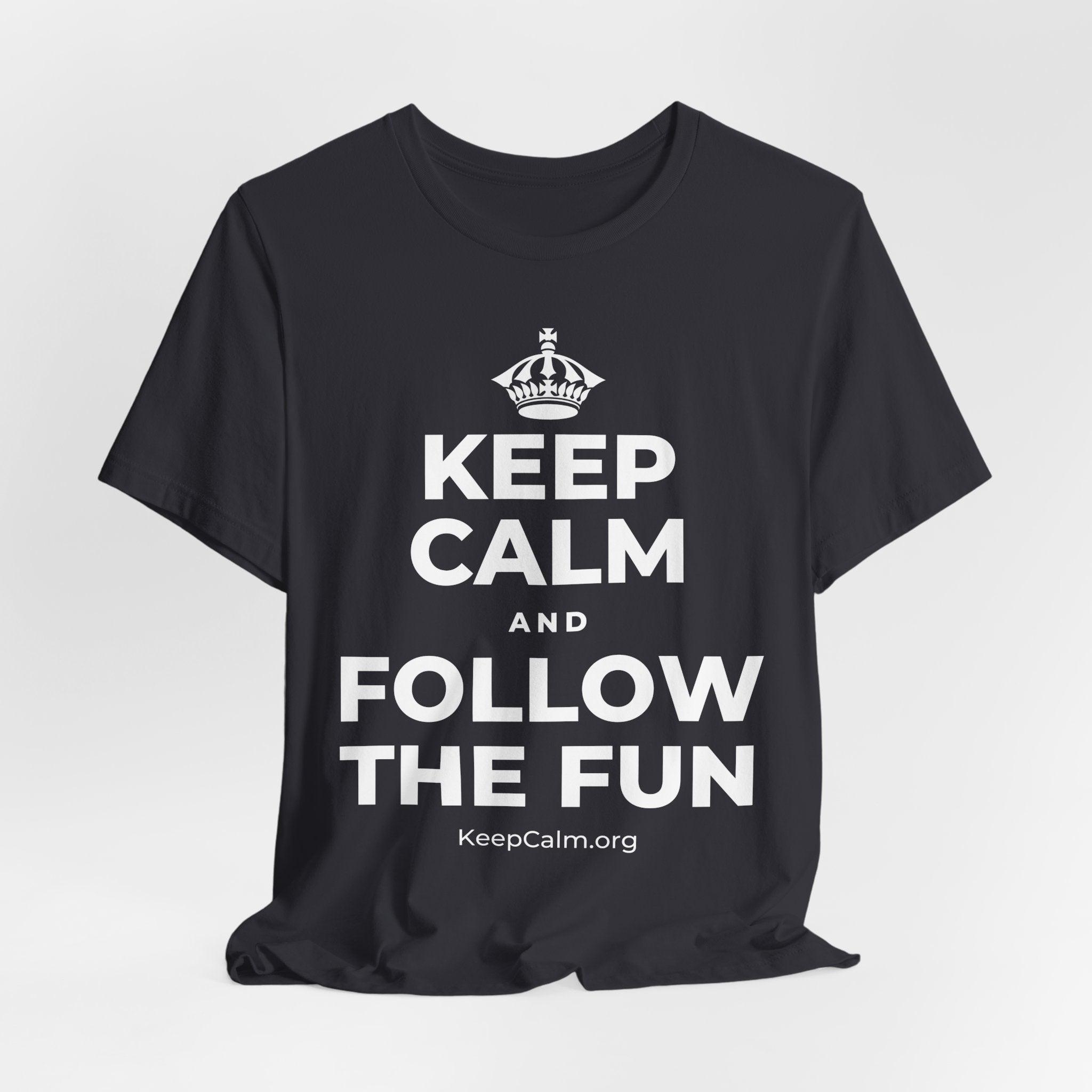 KEEP CALM AND FOLLOW THE FUN T-Shirt (Baby Blue–Silver)