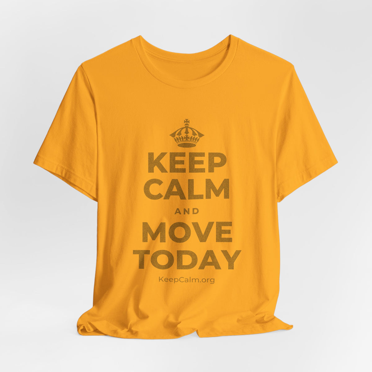 KEEP CALM AND MOVE TODAY T-Shirt (Baby Blue–Silver)