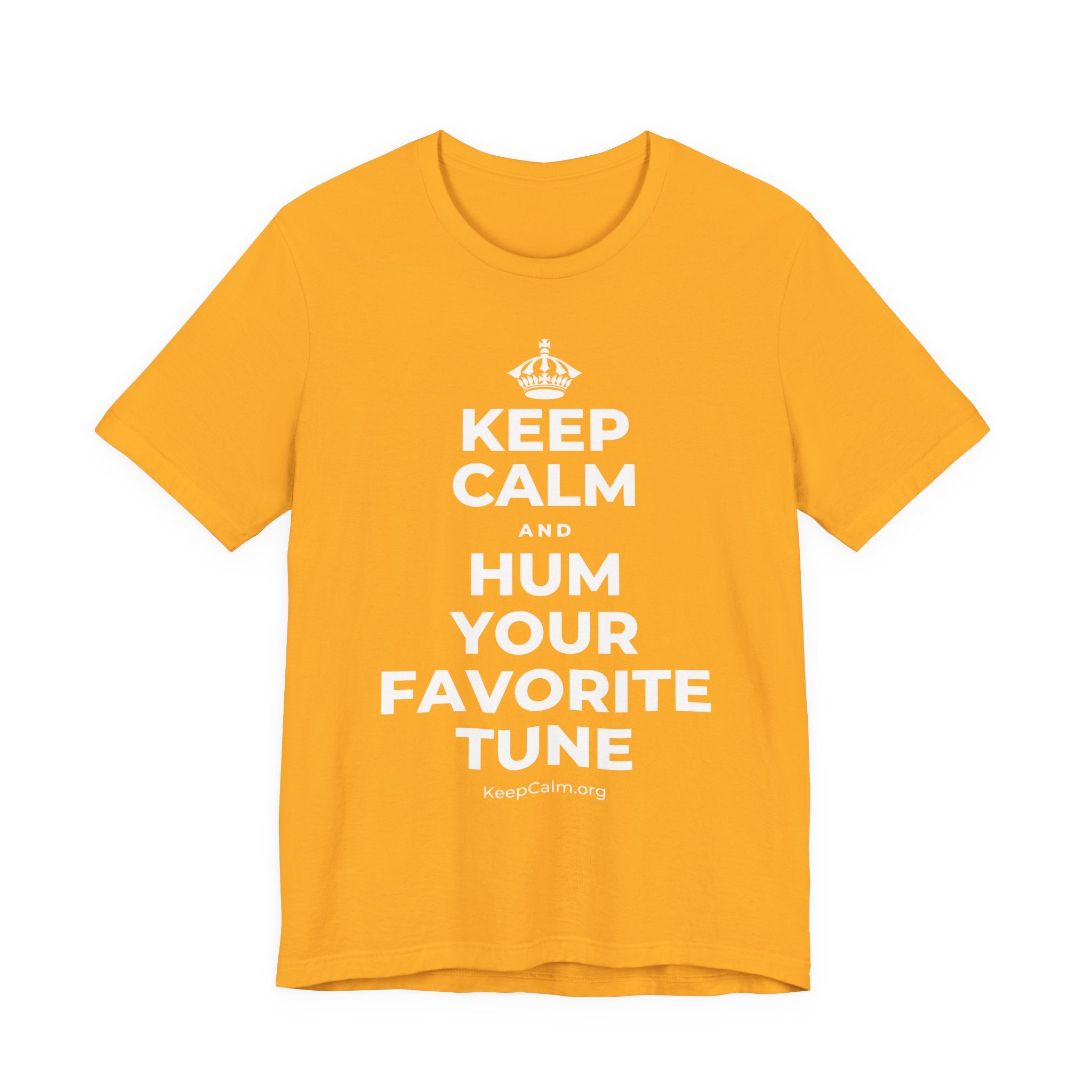 KEEP CALM AND HUM YOUR FAVORITE TUNE T-Shirt (Baby Blue–Silver)