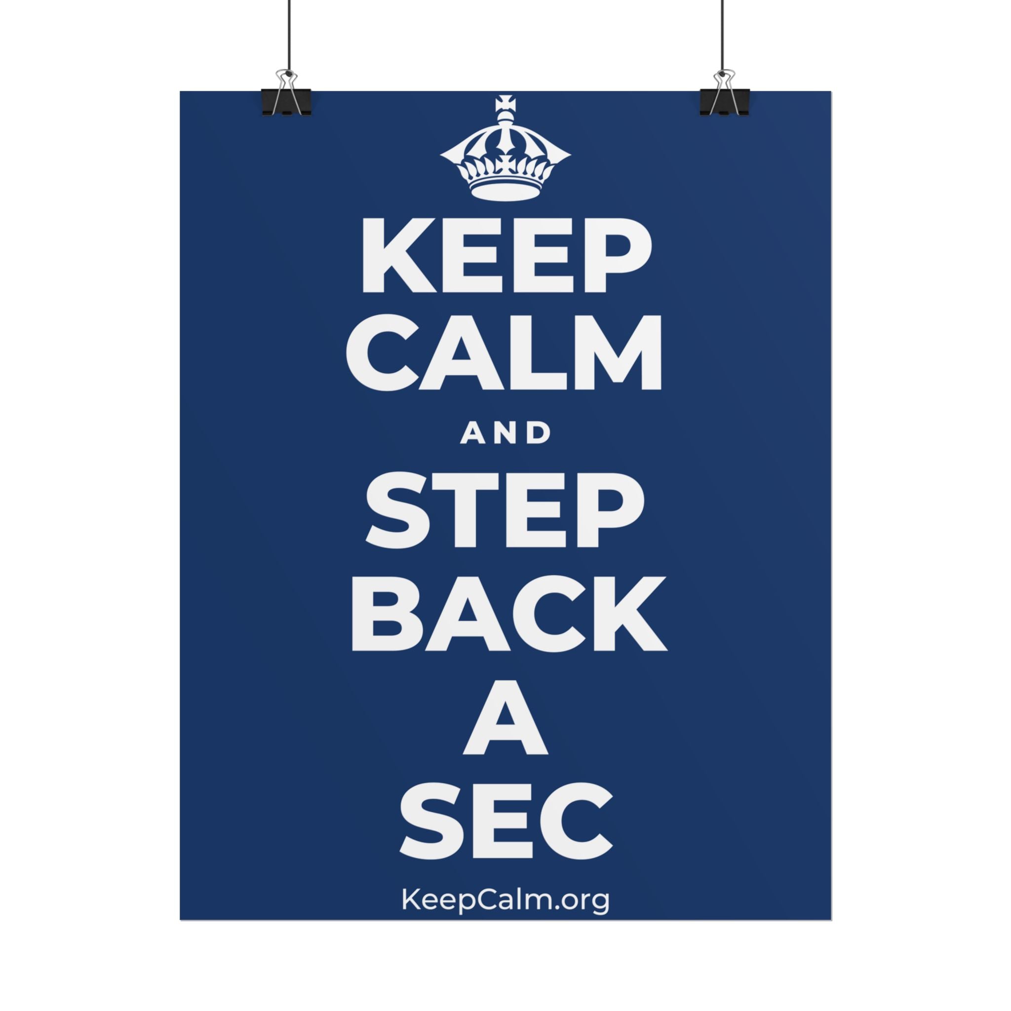 KEEP CALM AND STEP BACK A SEC Poster