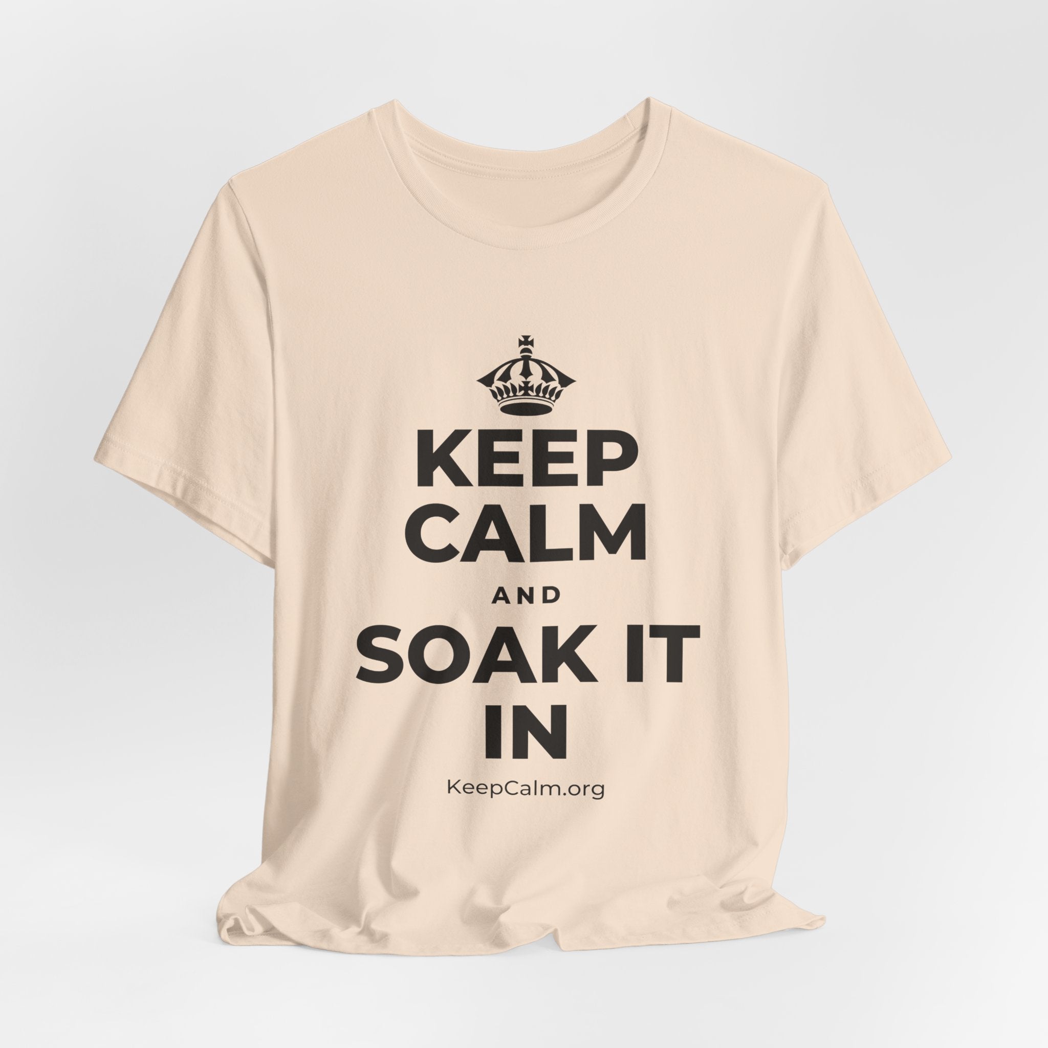 KEEP CALM AND SOAK IT IN T-Shirt (Soft Cream–Heather Mauve)