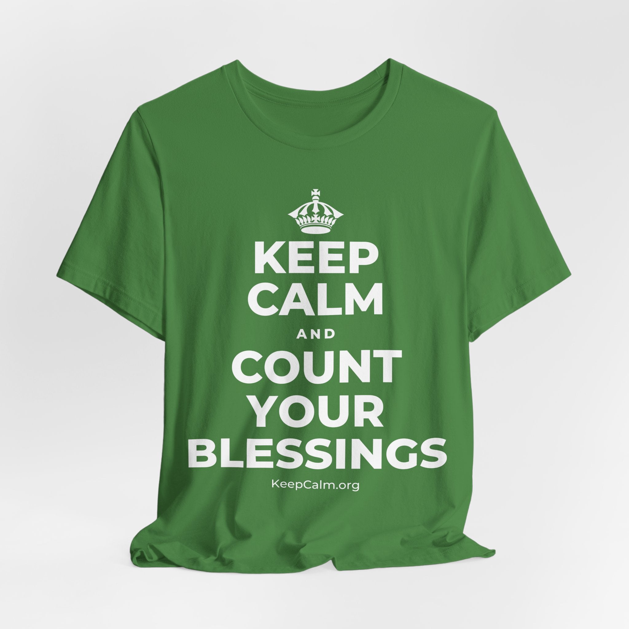KEEP CALM AND COUNT YOUR BLESSINGS T-Shirt (Baby Blue–Silver)