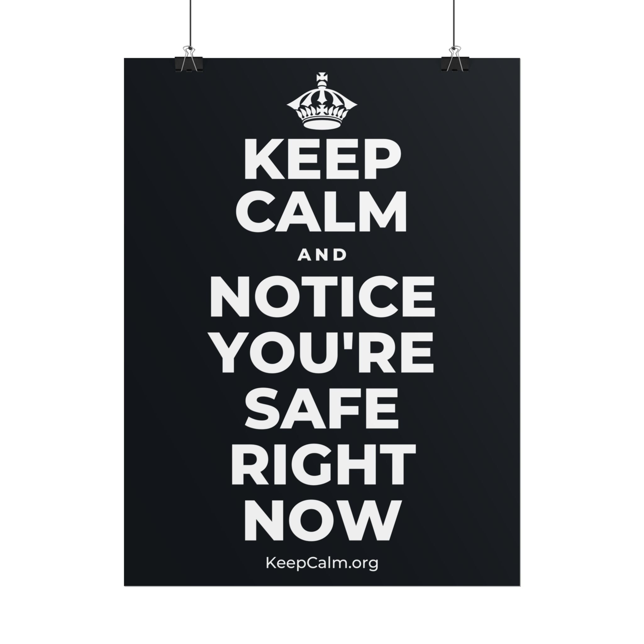 KEEP CALM AND NOTICE YOU'RE SAFE RIGHT NOW Poster (Dark)