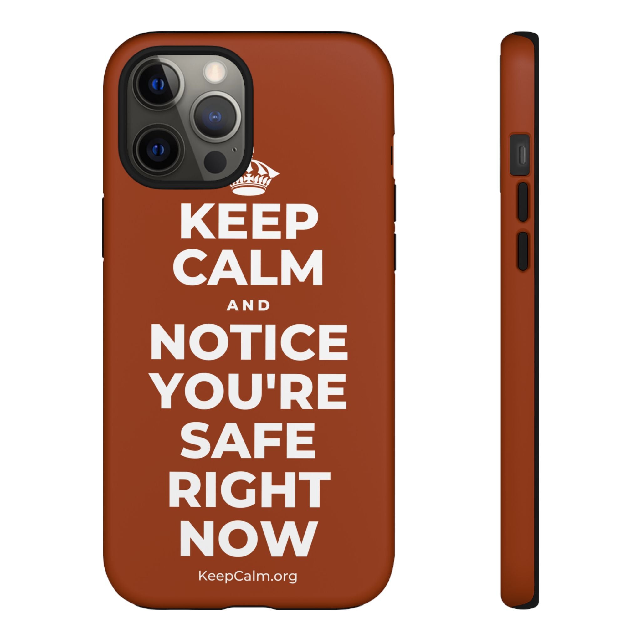 KEEP CALM AND NOTICE YOU'RE SAFE RIGHT NOW Phone Case
