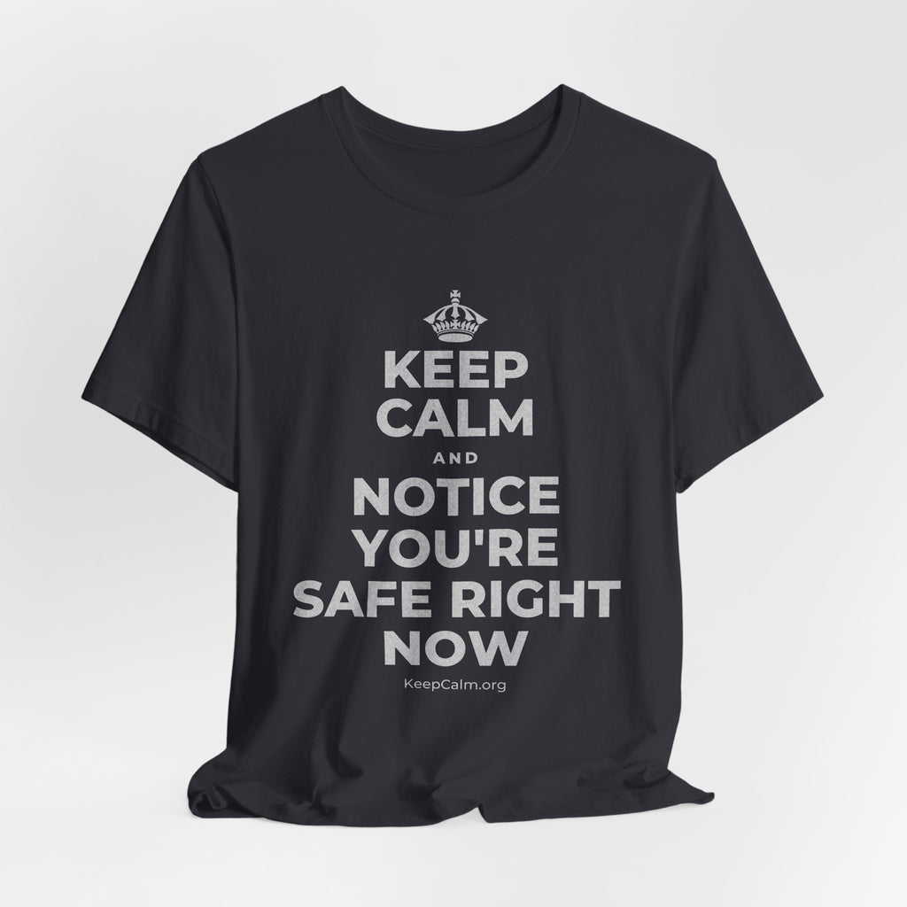 KEEP CALM AND NOTICE YOU'RE SAFE RIGHT NOW T-Shirt (Baby Blue–Silver)