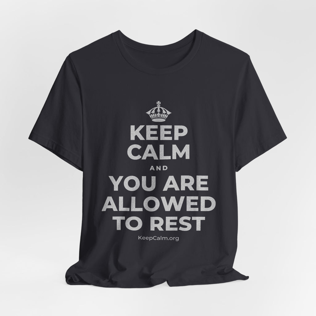 KEEP CALM AND YOU ARE ALLOWED TO REST T-Shirt (Baby Blue–Silver)