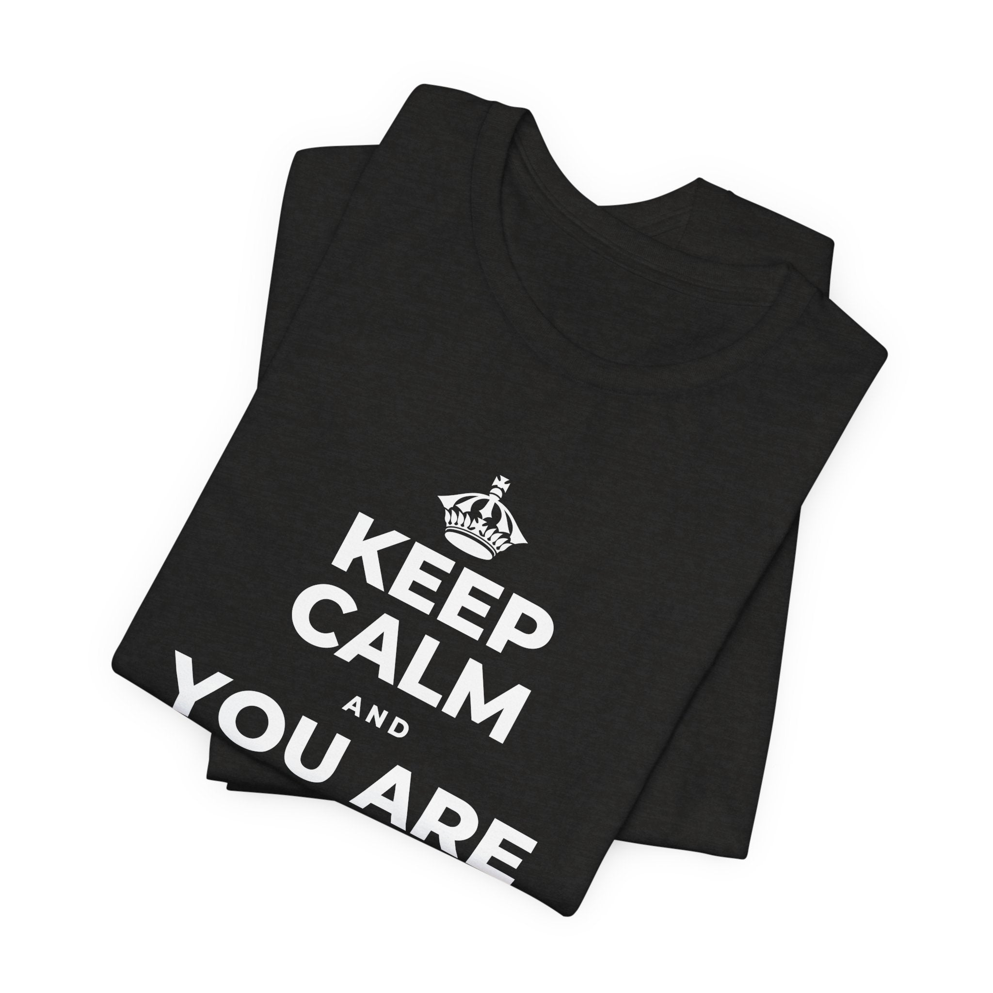 KEEP CALM AND YOU ARE DOING GREAT TODAY T-Shirt (Soft Cream–Heather Mauve)